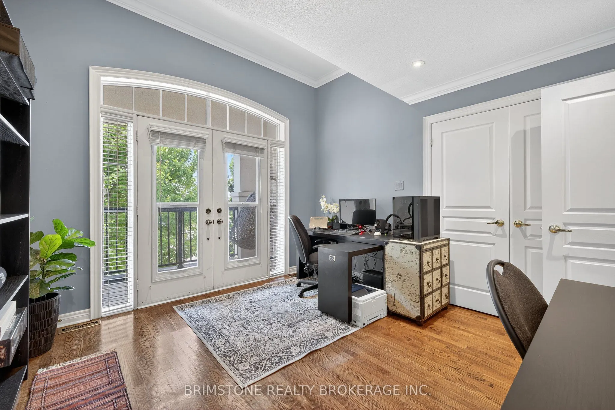 123 Salamander Court