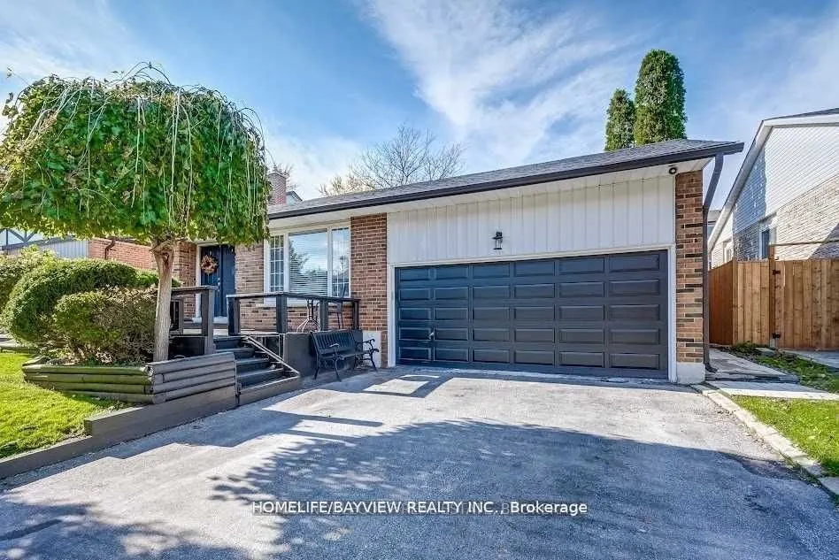 64 RUTLEDGE ( basement) Avenue