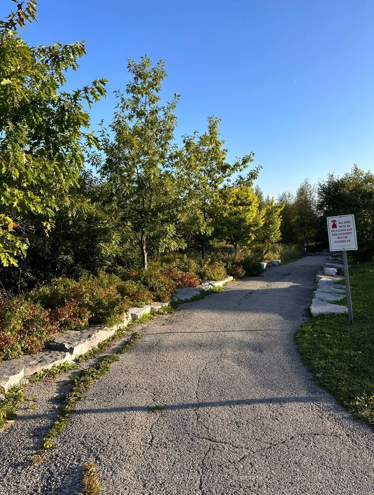 34 Meadowhawk Trail