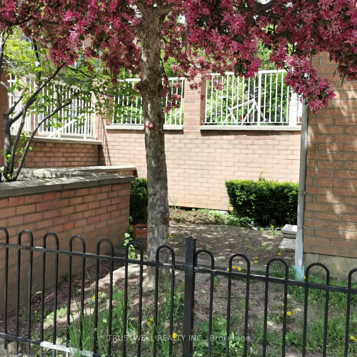 16 Cox Boulevard, #1