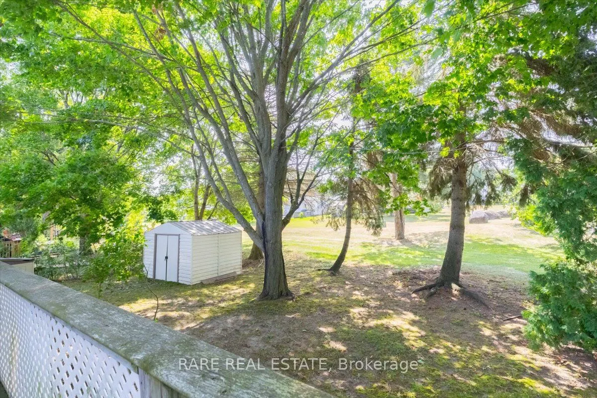 45 Linden Lane