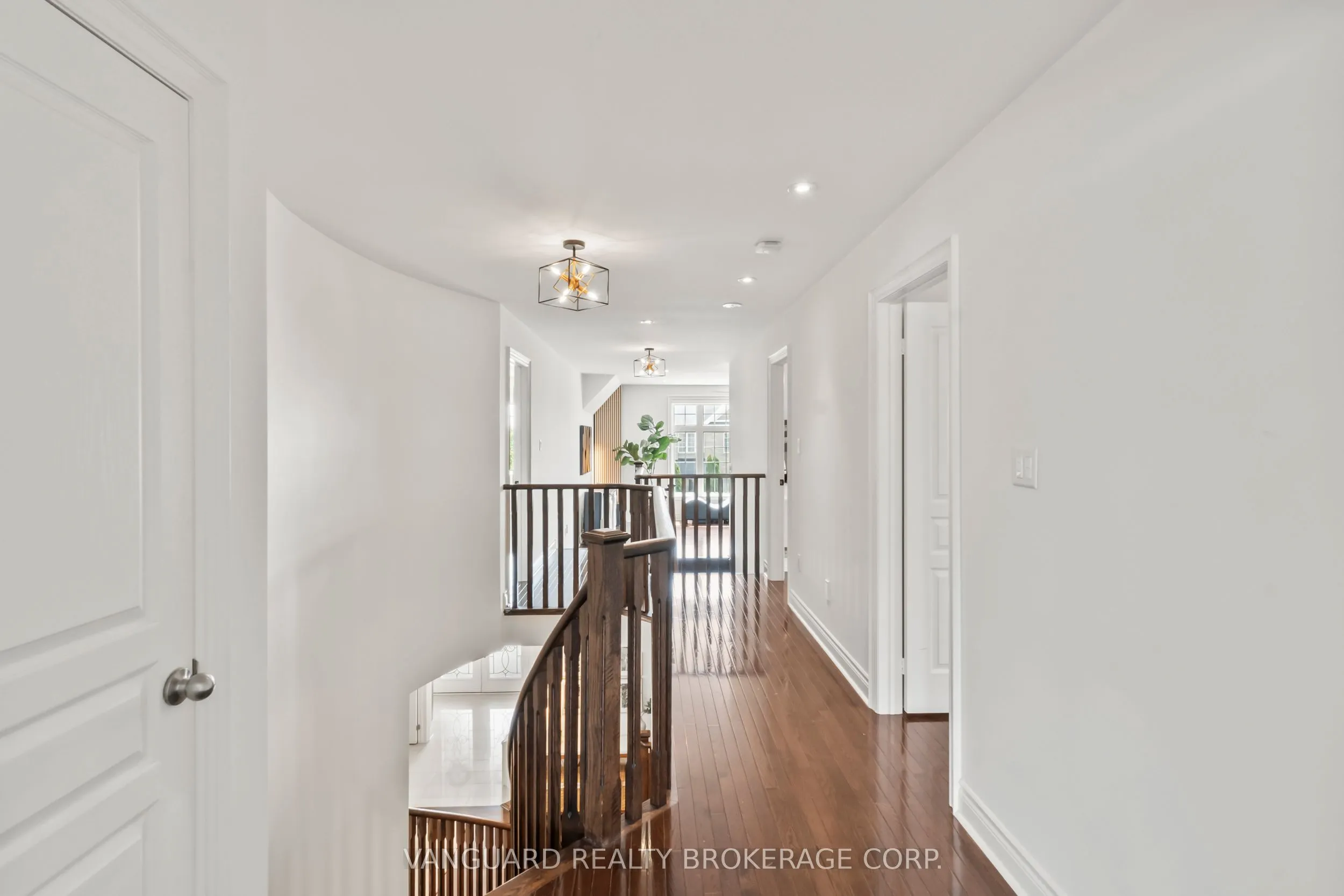 244 Downy Emerald Drive