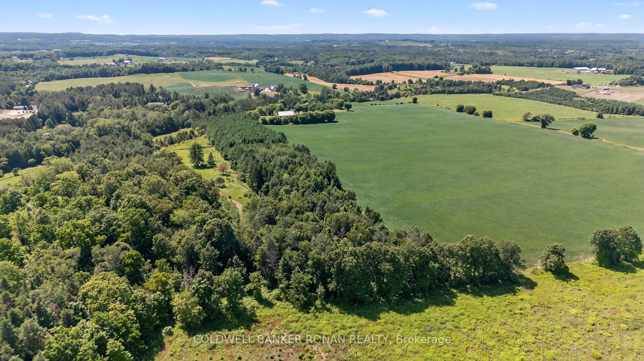 2045 Concession Rd 7