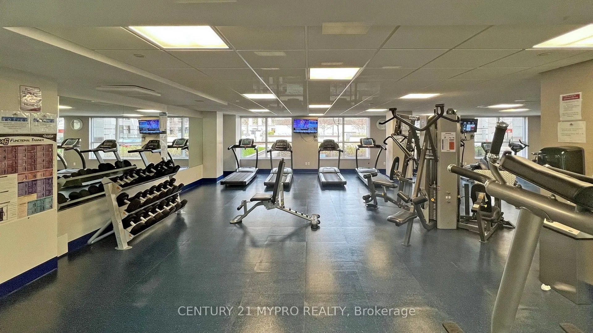 38 Cedarland Drive, #705