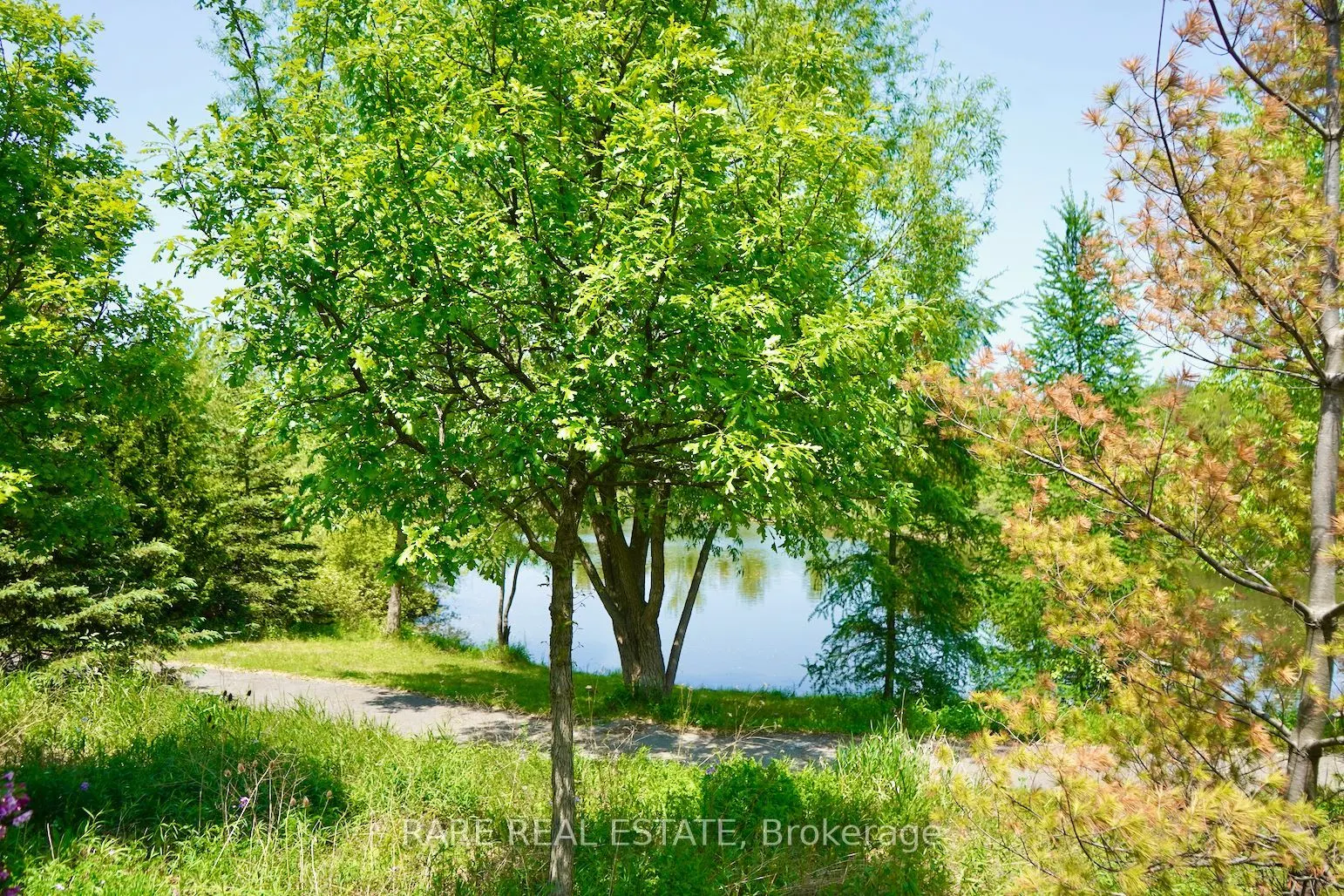 295 Stonebridge Drive