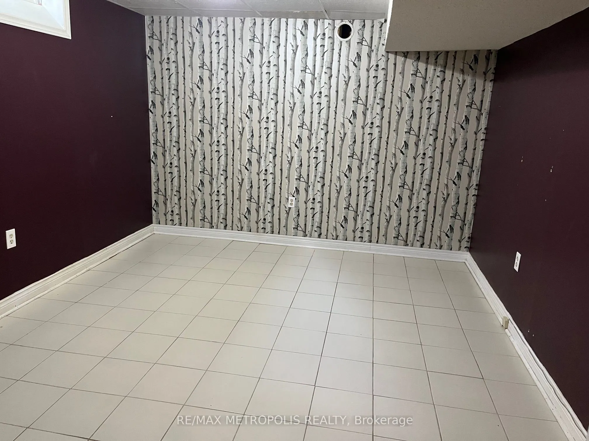 99 Tulip Street, #Bsmt