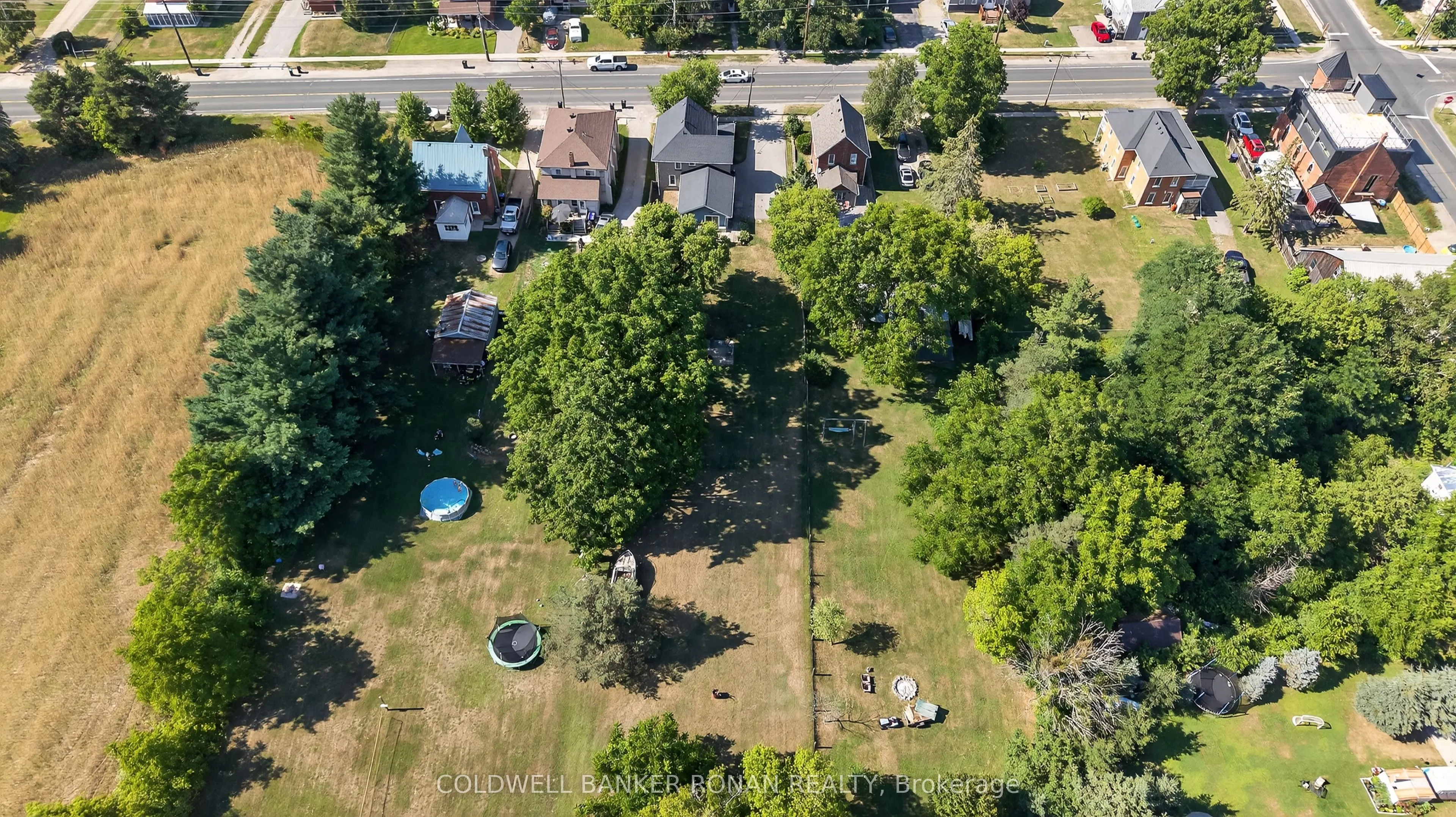 8153 Main Street