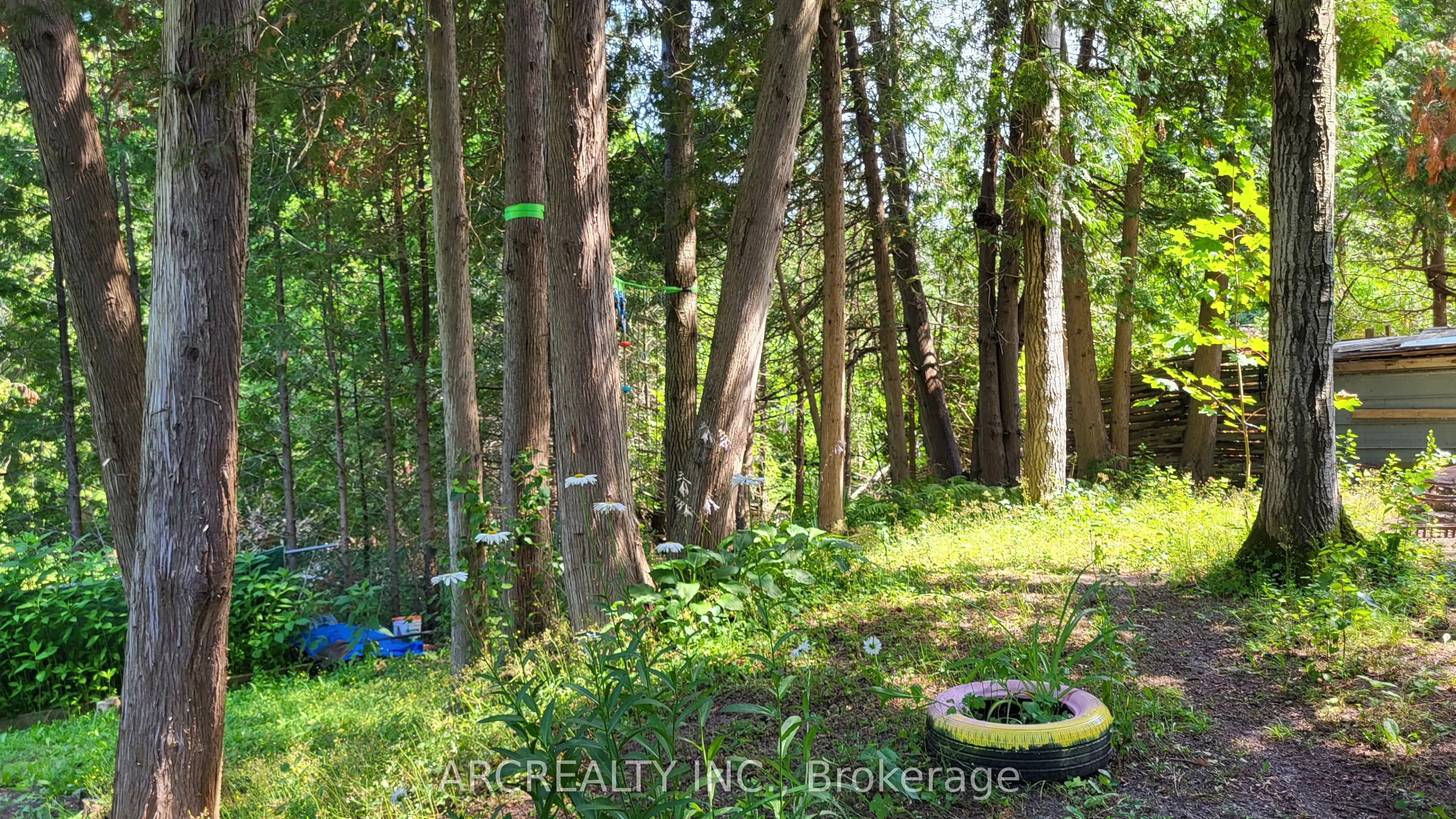 25 Chickadee Court