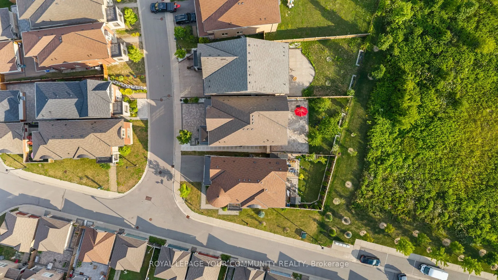 7 Sundew Lane