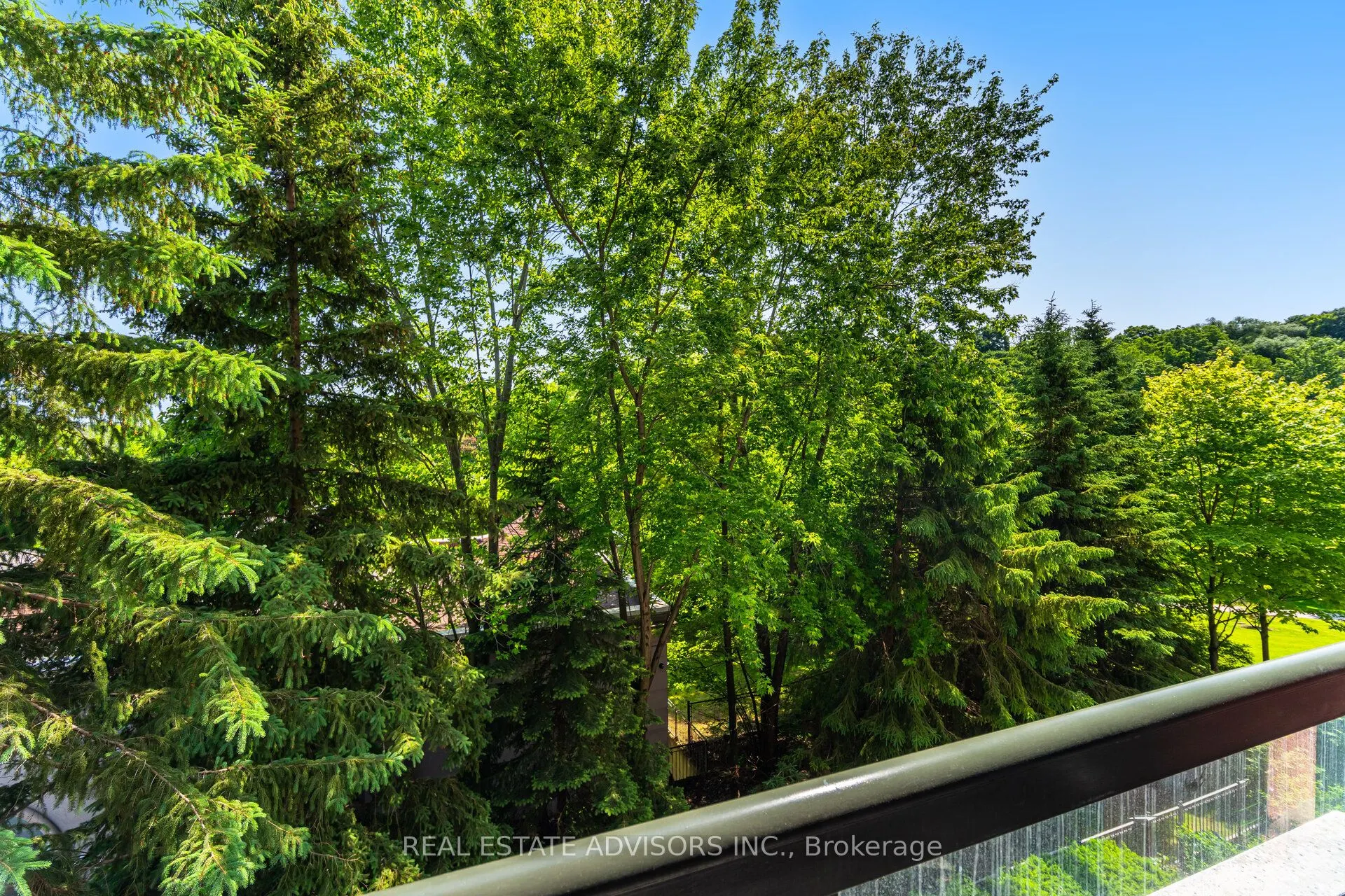 53 Woodbridge Avenue, #313