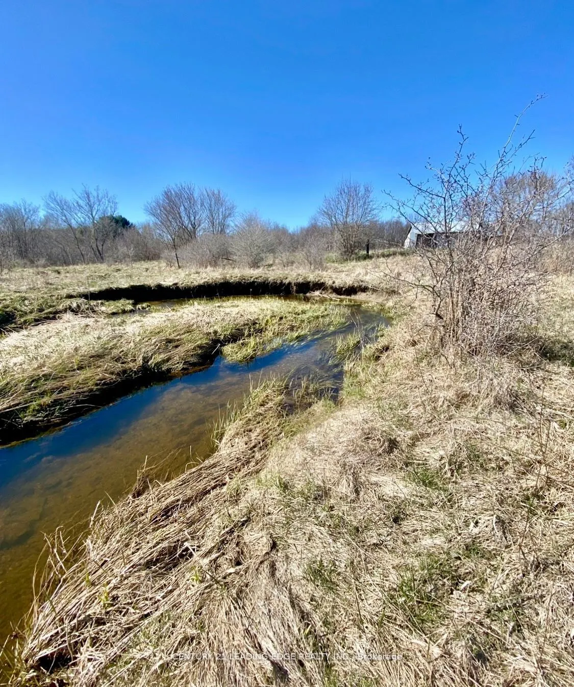 1860 B Thorah Concession 11
