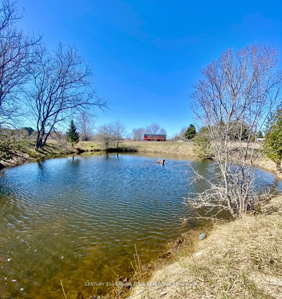 1860 B Thorah Concession 11