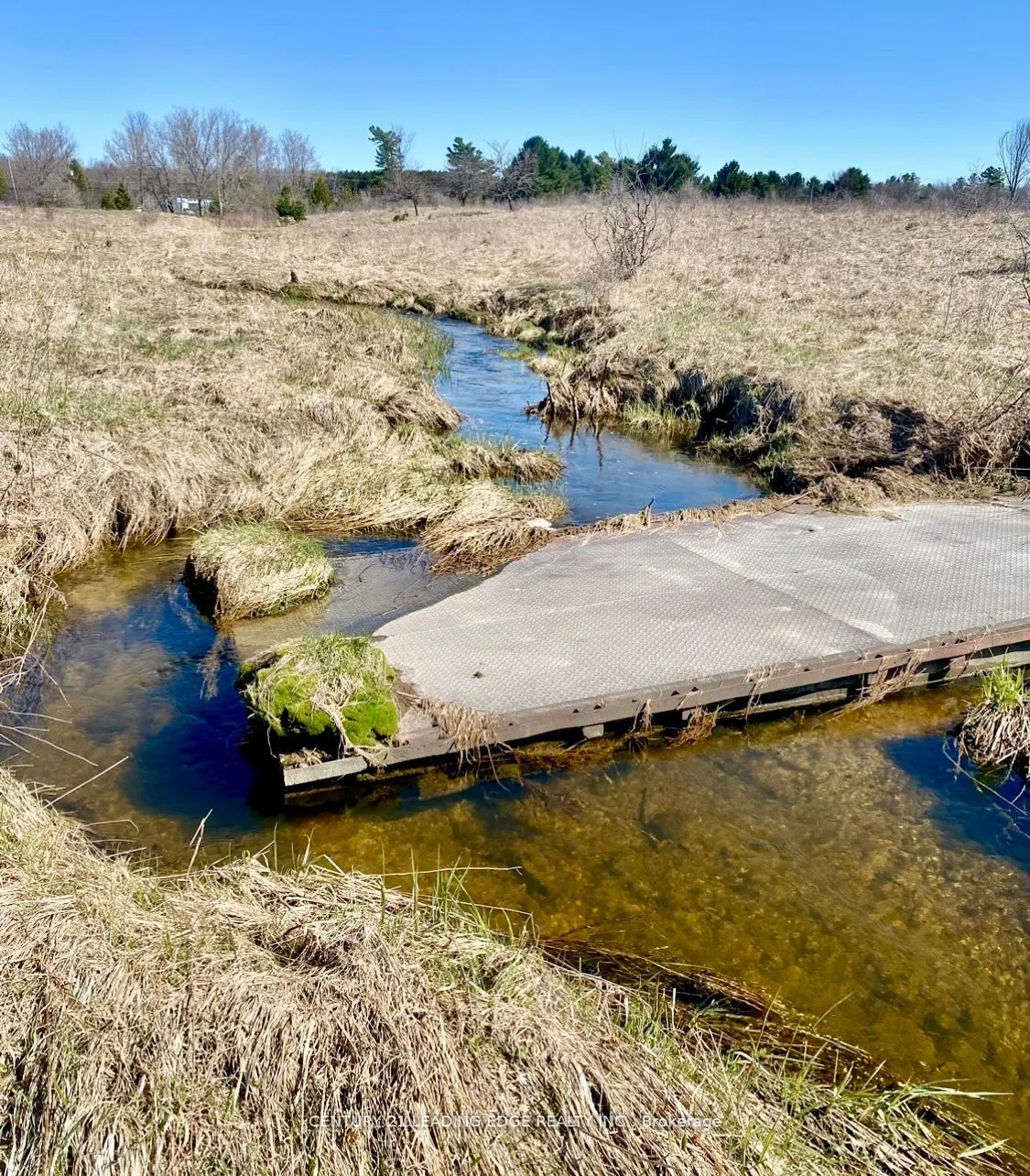 1860 B Thorah Concession 11