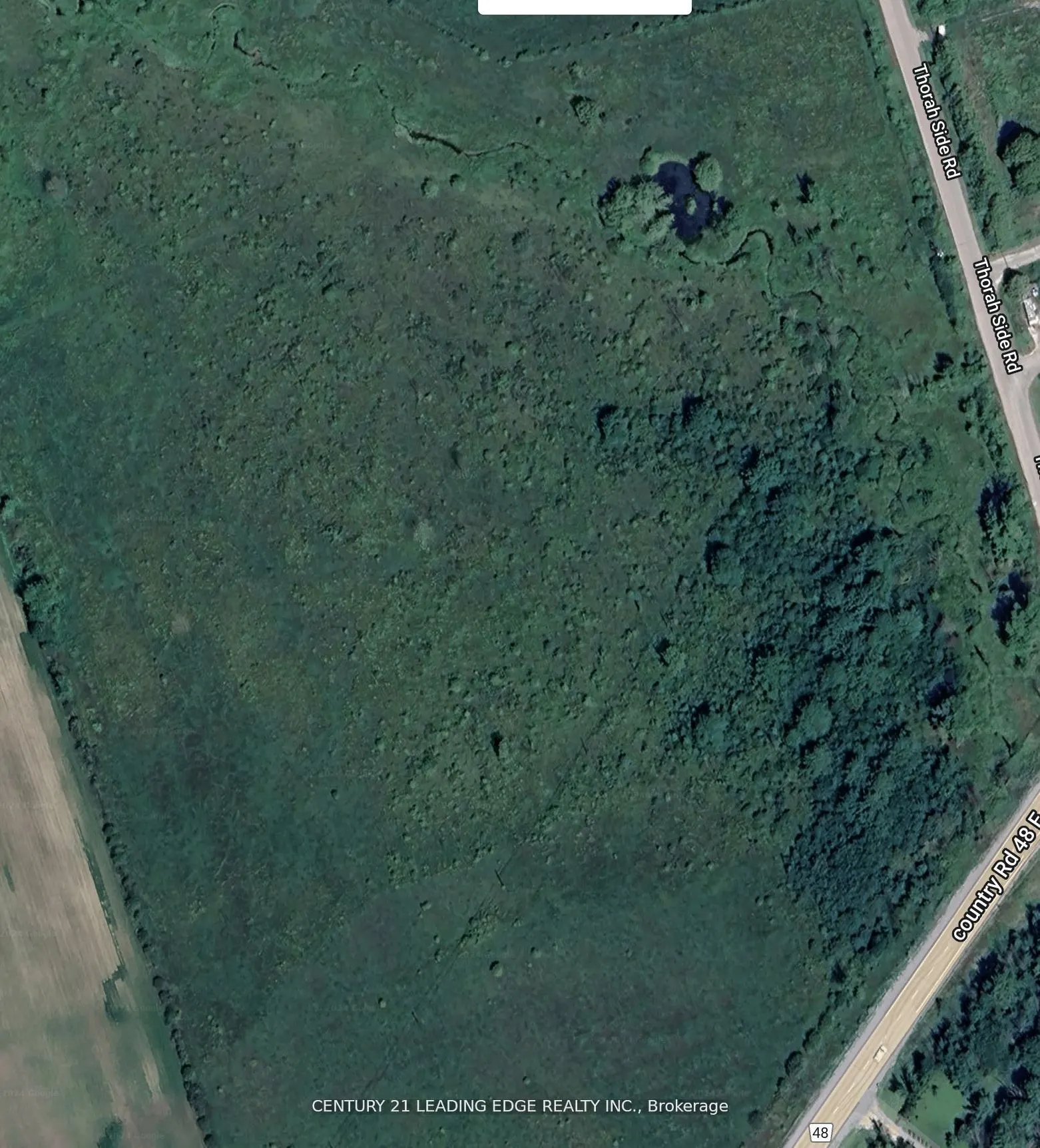 1860 B Thorah Concession 11