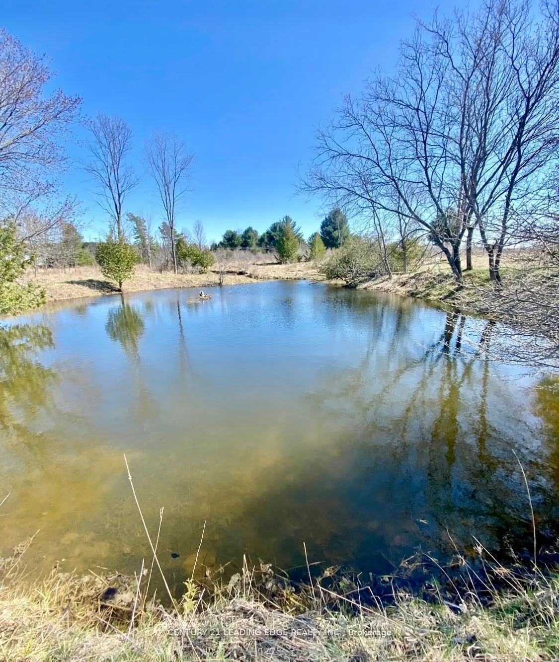 1860 B Thorah Concession 11