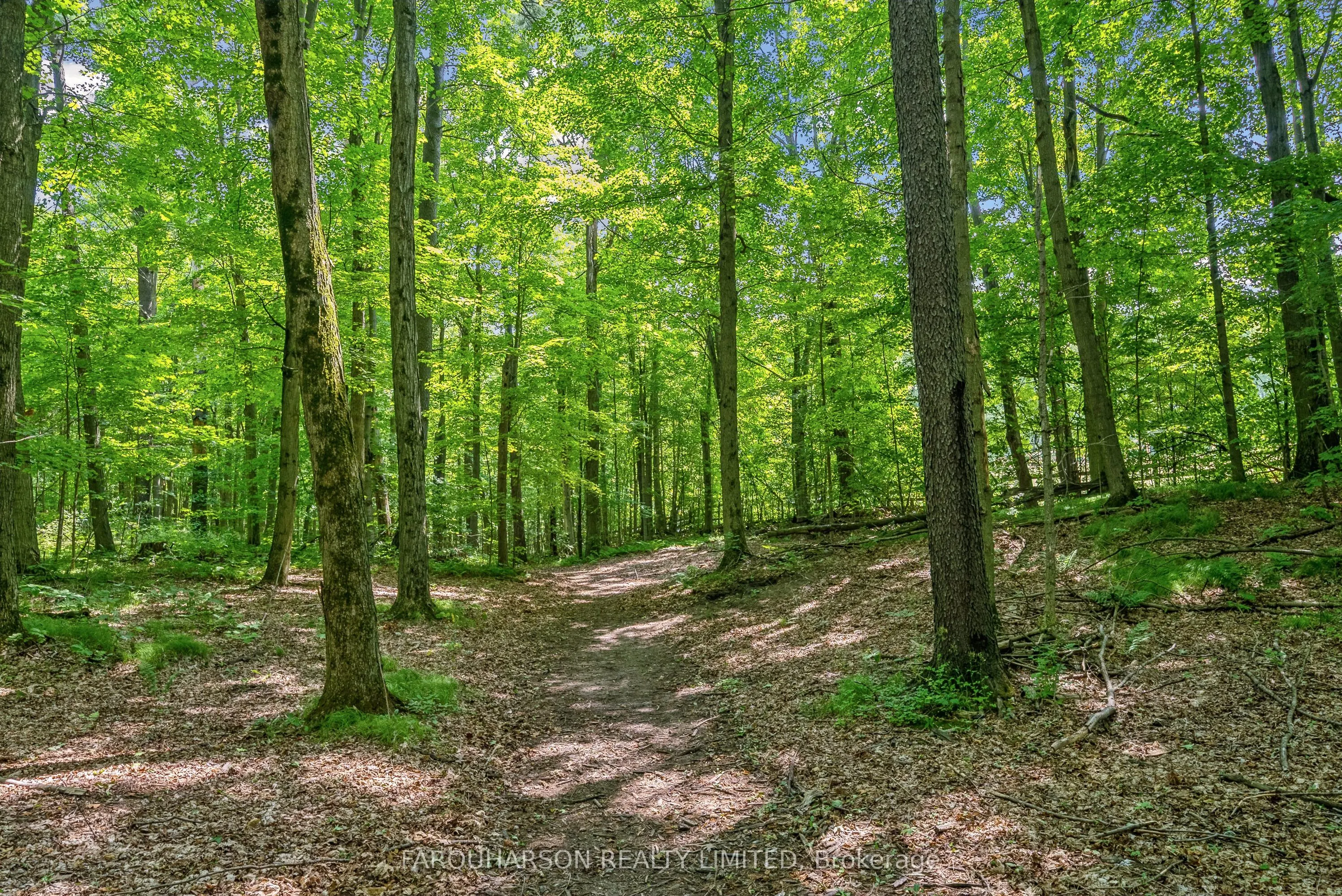 729 Reid Road