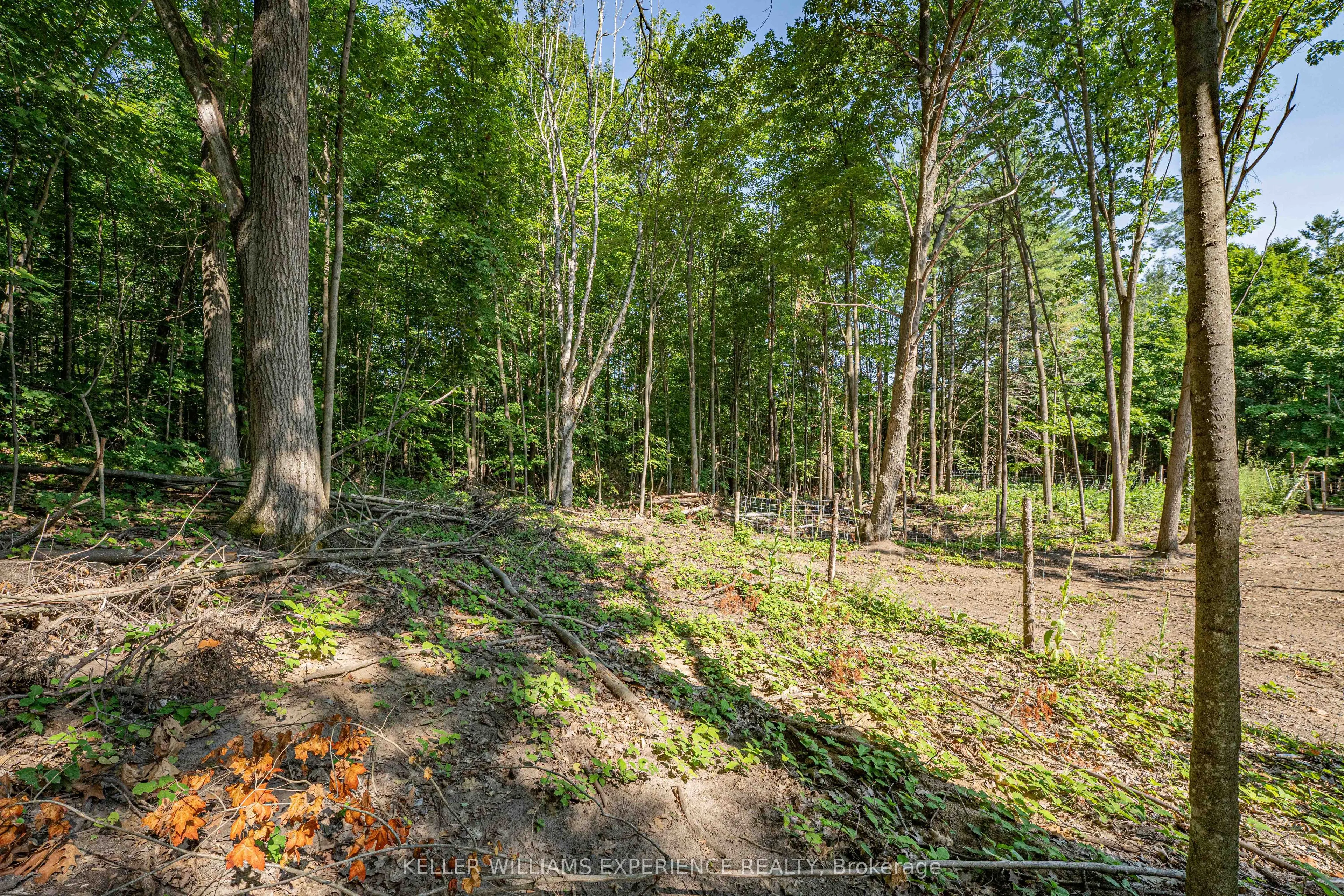 8294 County Rd 27