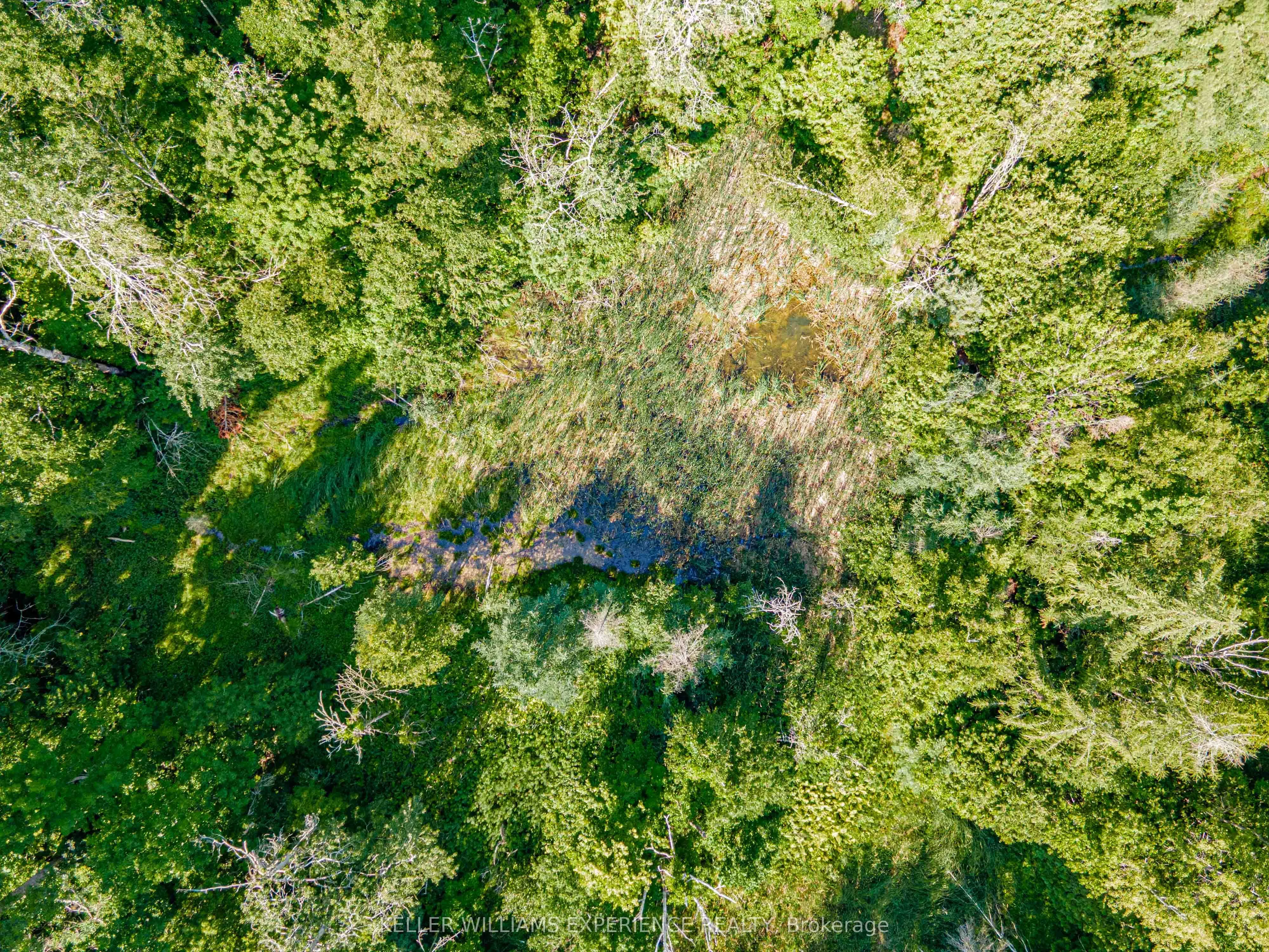 8294 County Rd 27