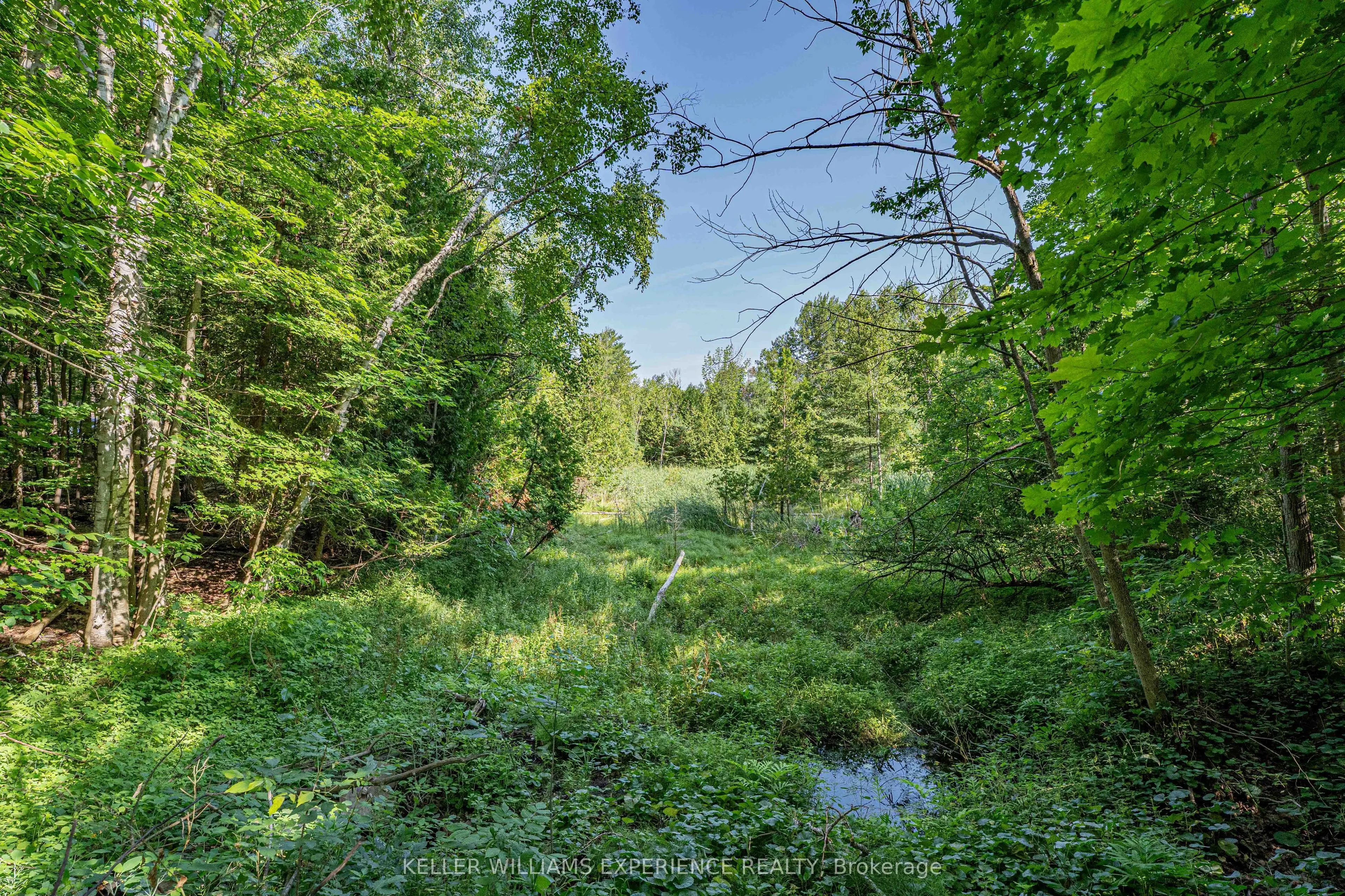 8294 County Rd 27