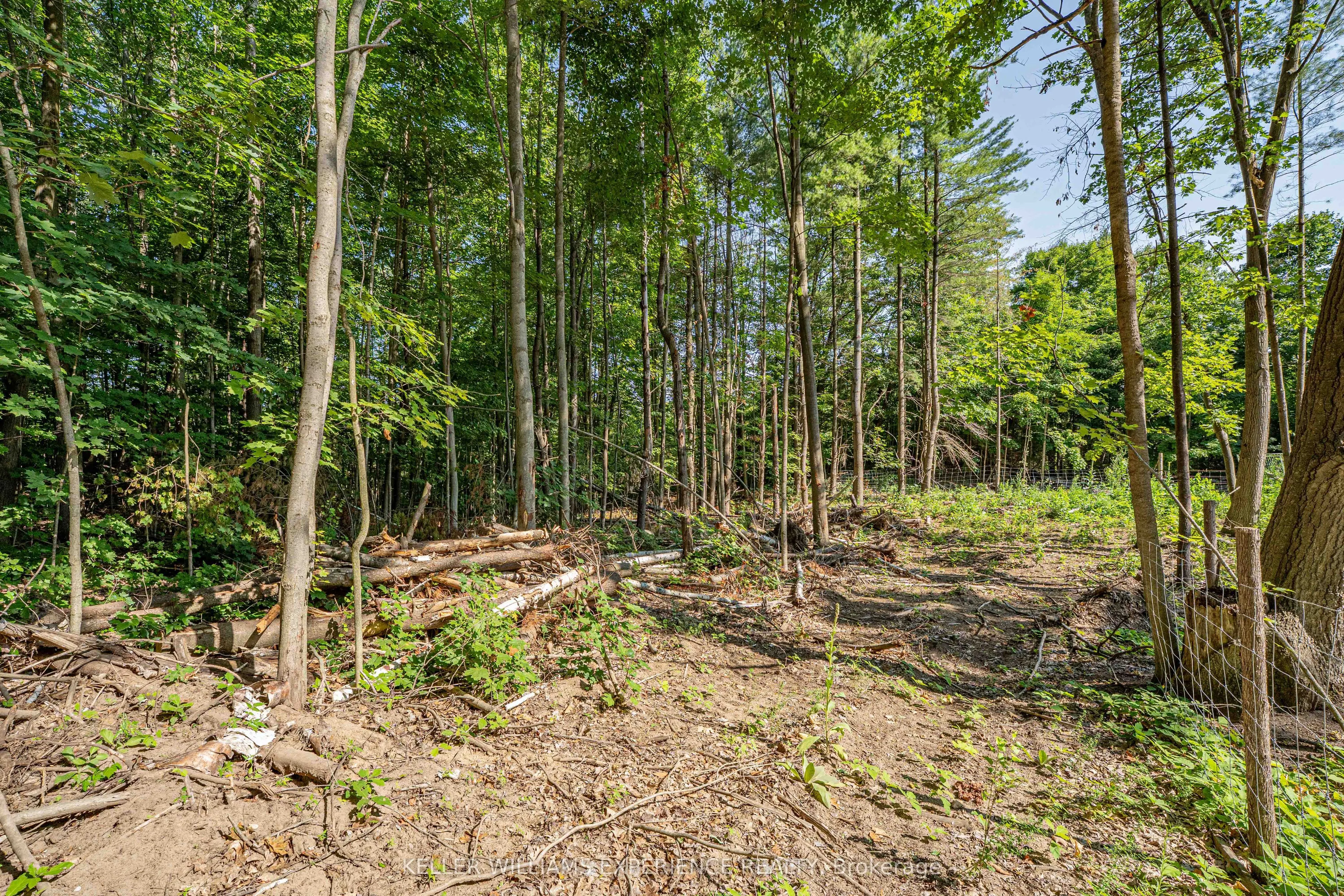 8294 County Rd 27