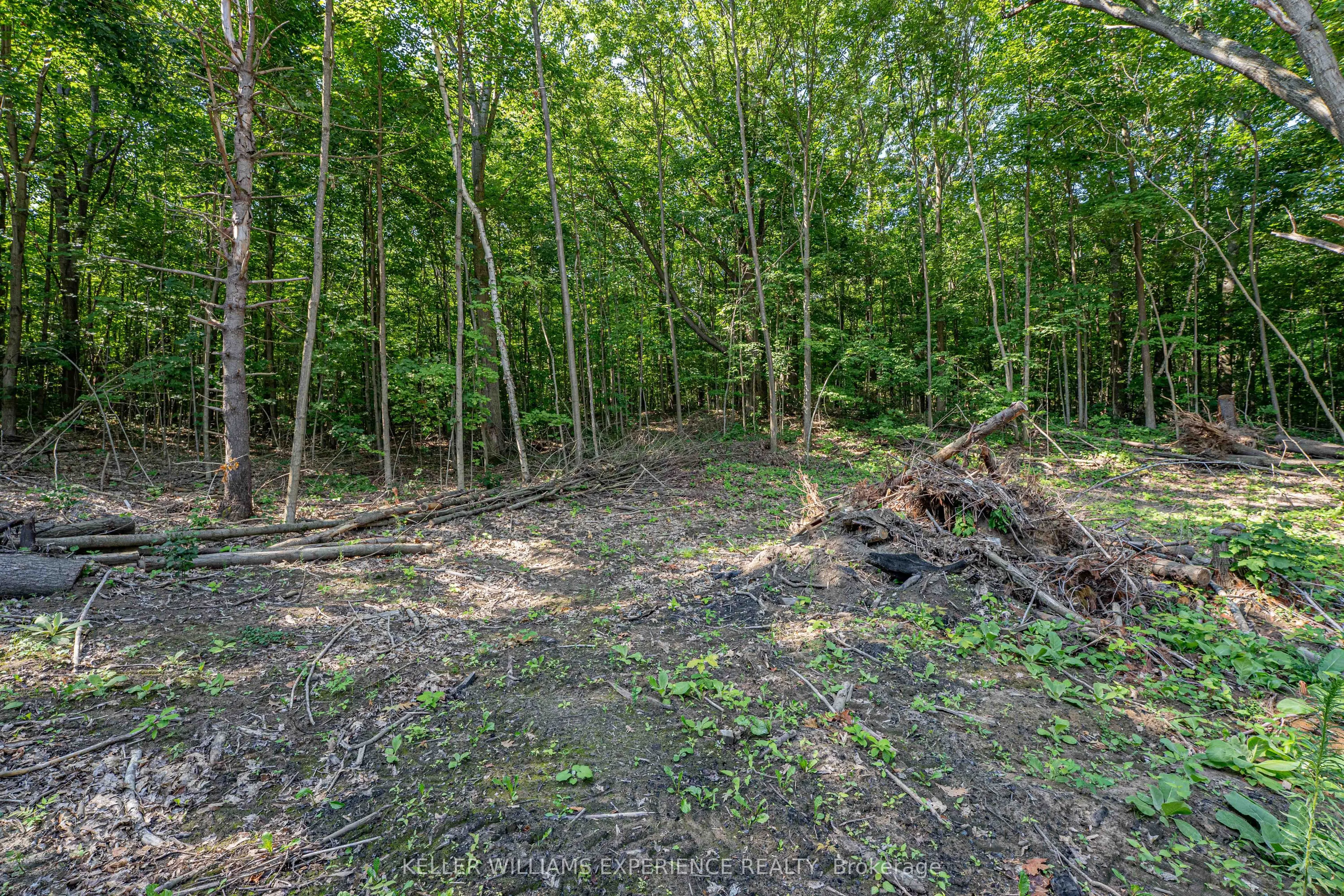 8294 County Rd 27