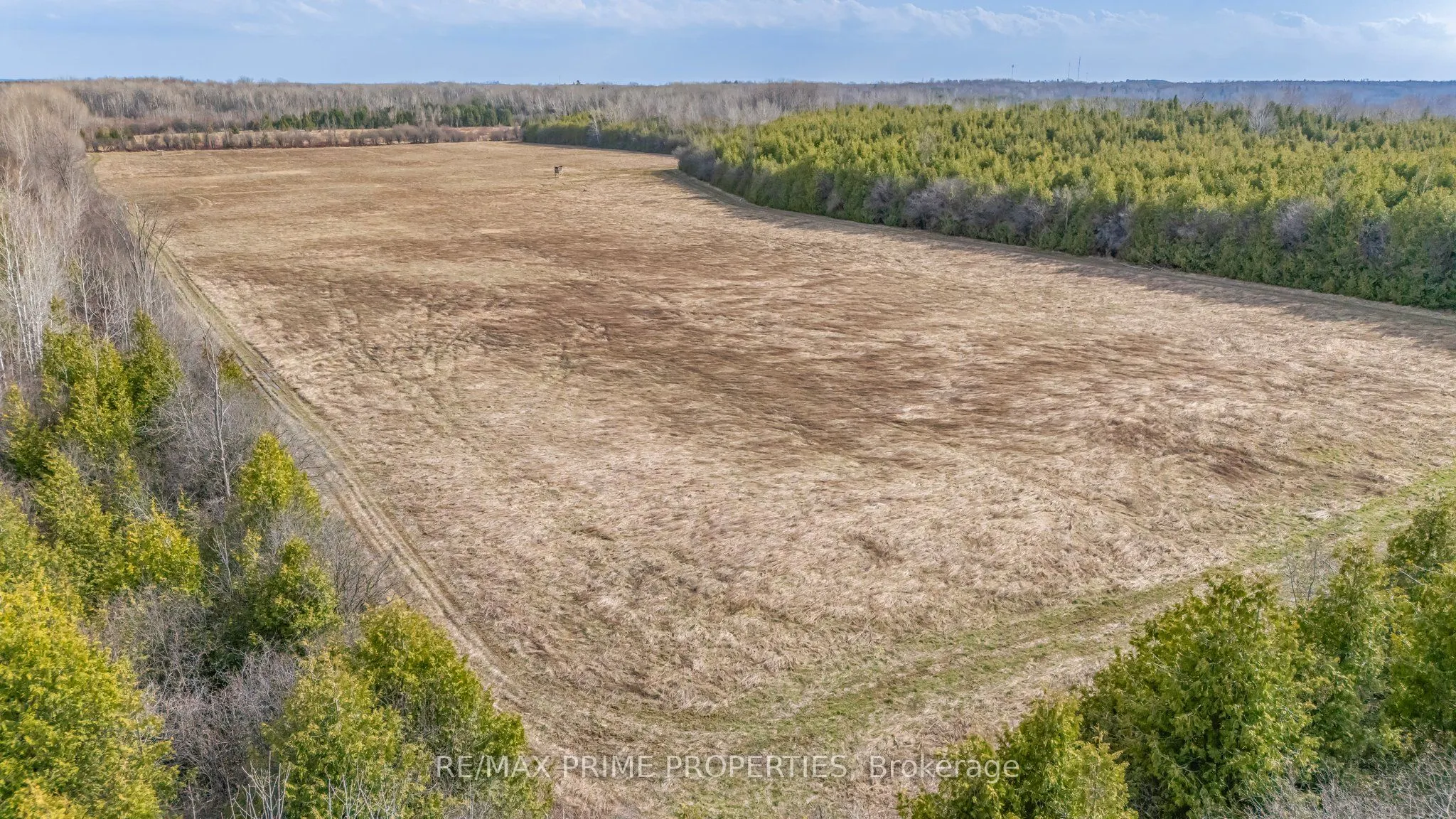 28171 Highway 48 Acres