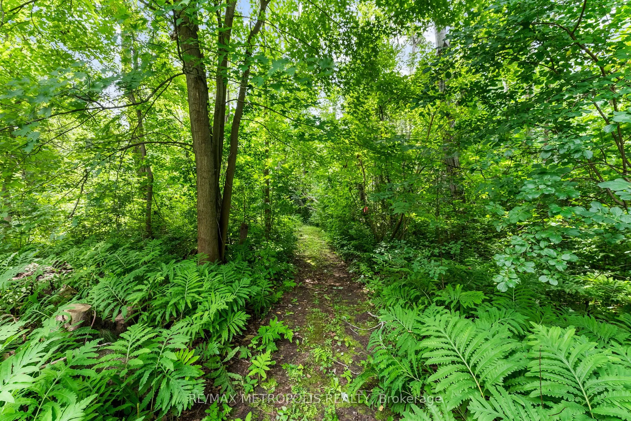4359 Lloydtown Aurora Road