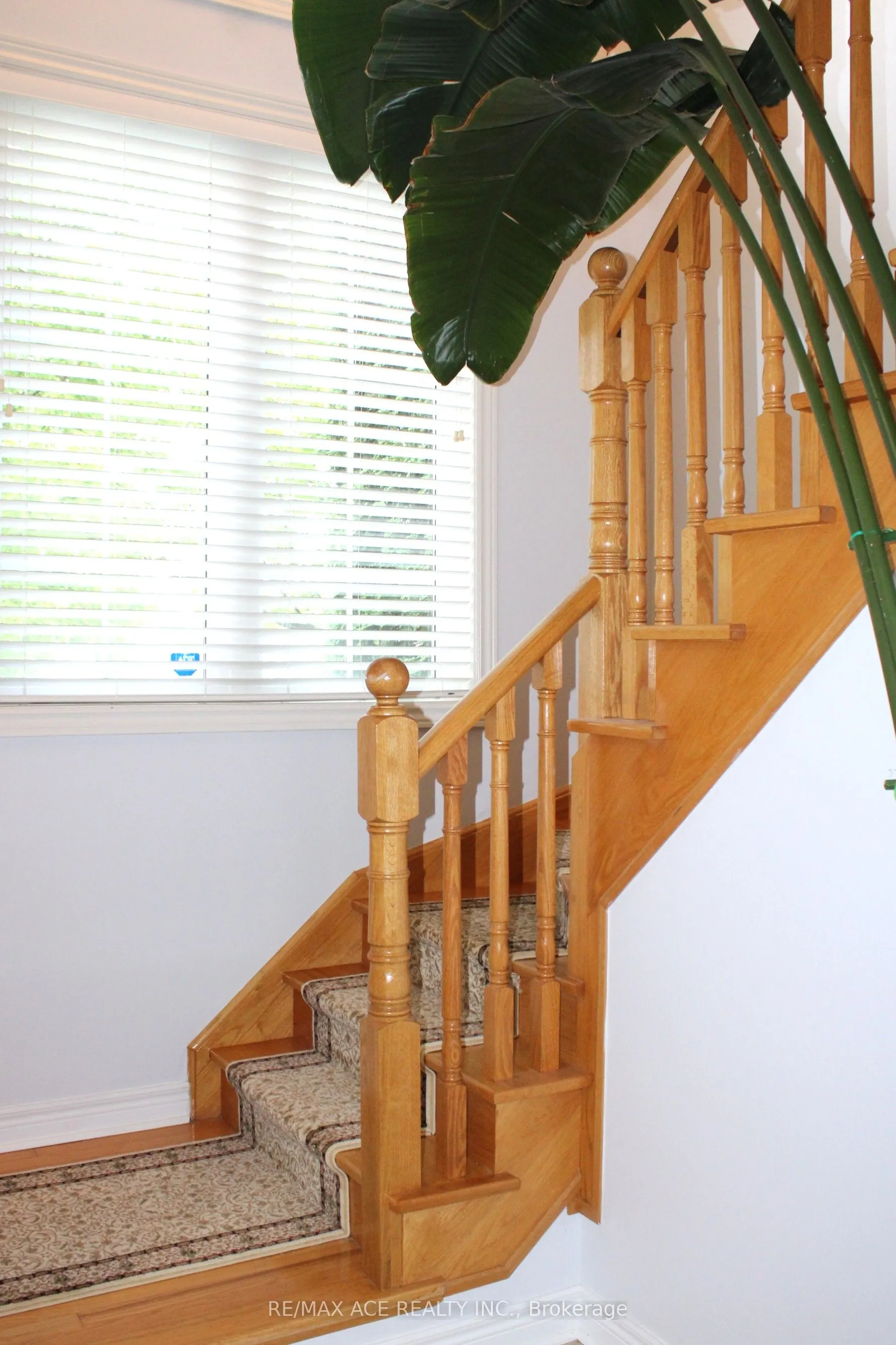 59 Cozens Drive