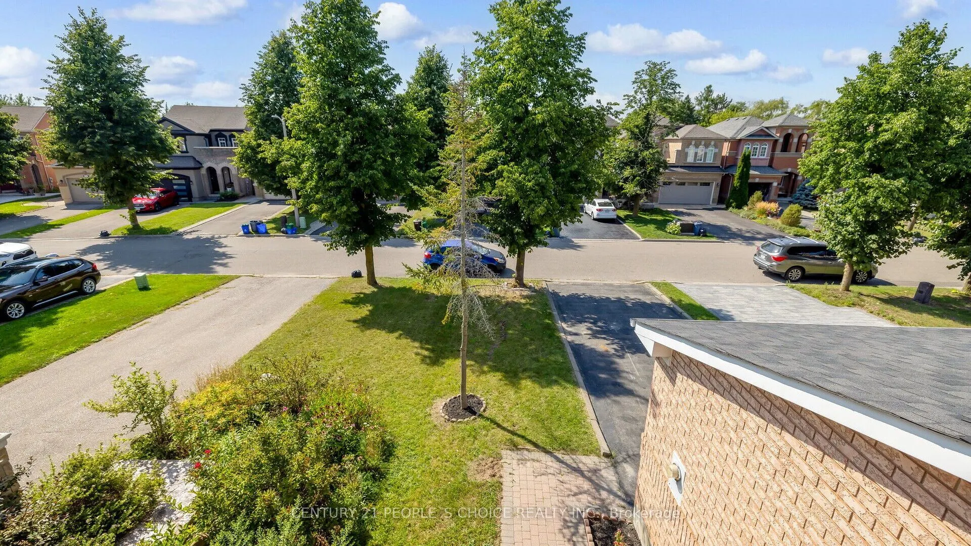 25 Willow Tree Street