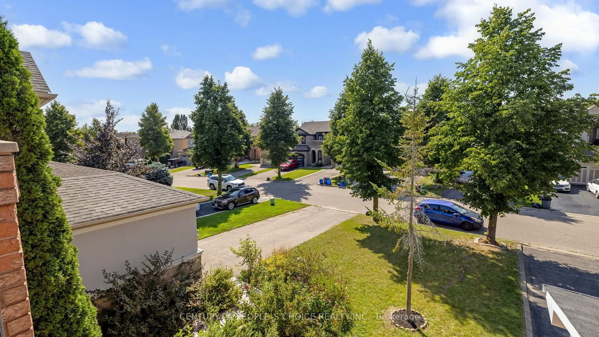 25 Willow Tree Street