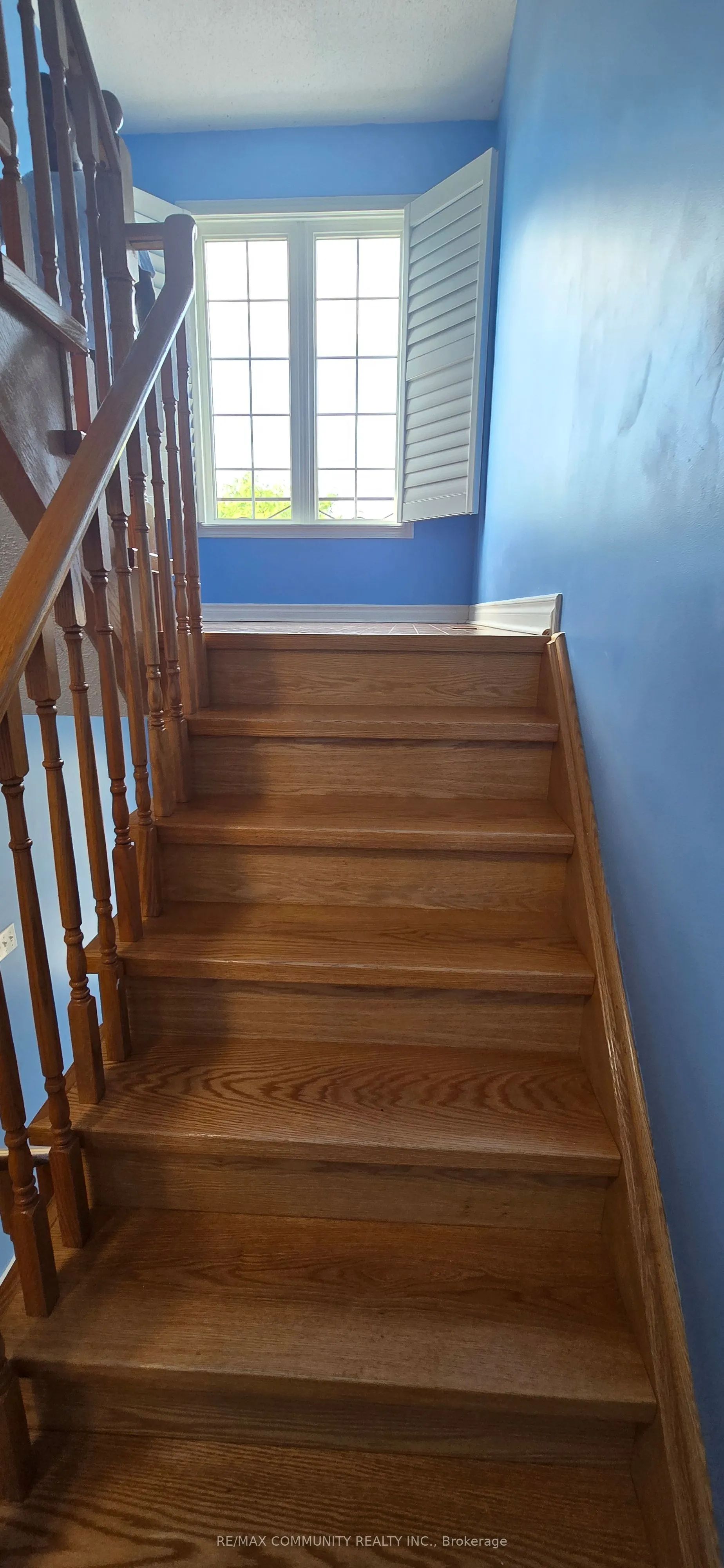 29 Sassafras Circle