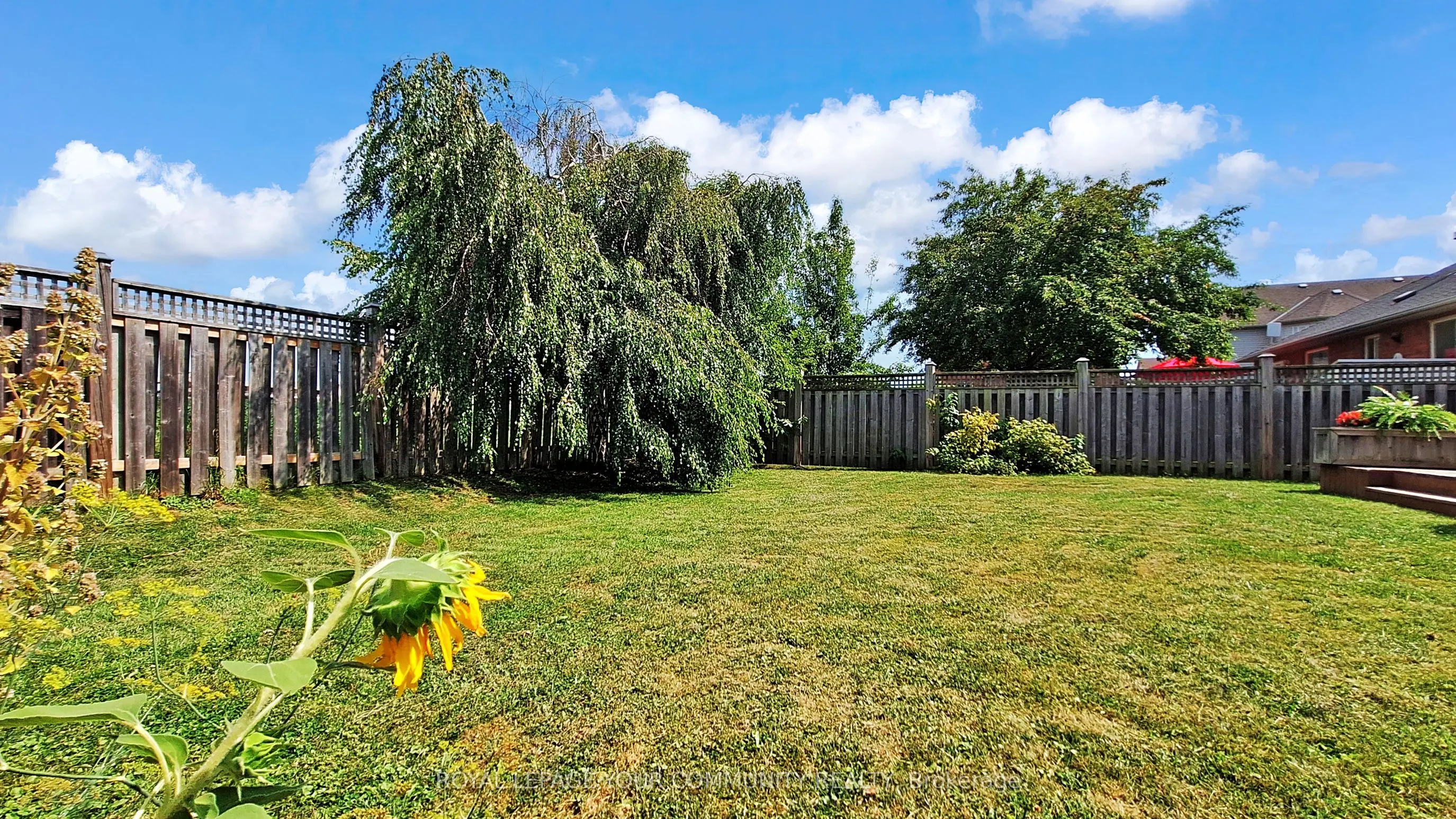 3 Reynolds Avenue