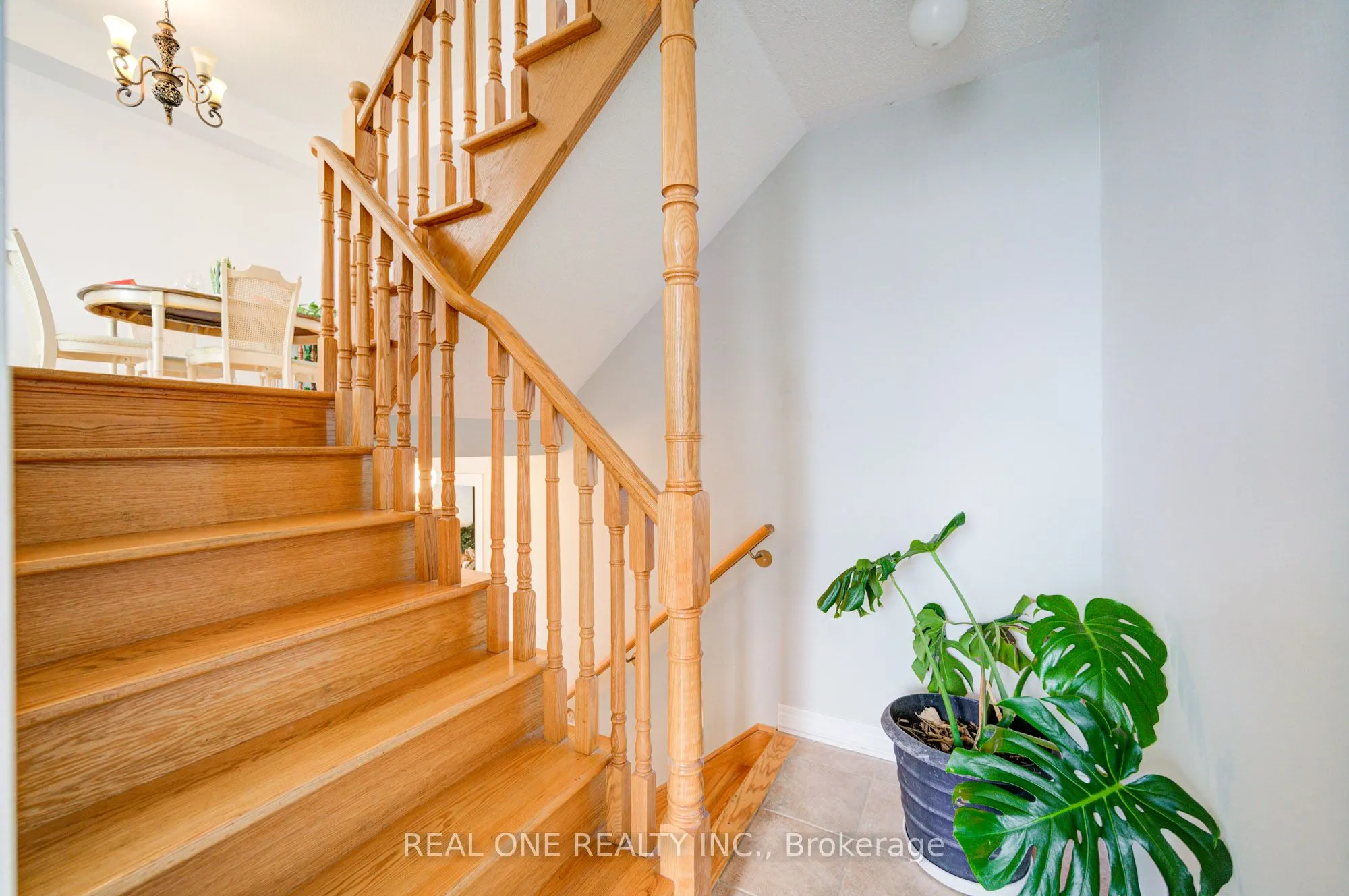 87 Zokol Drive