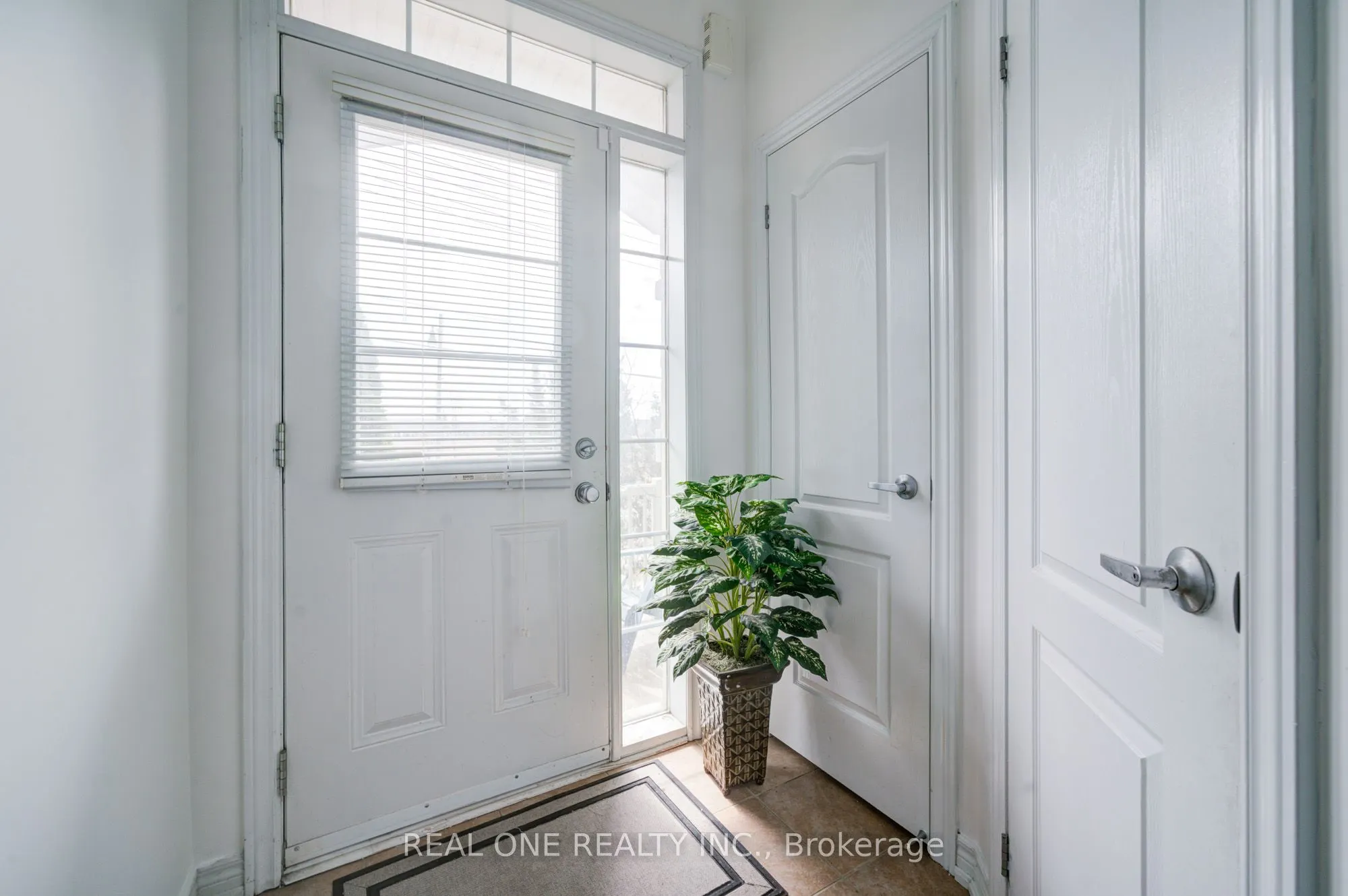 87 Zokol Drive