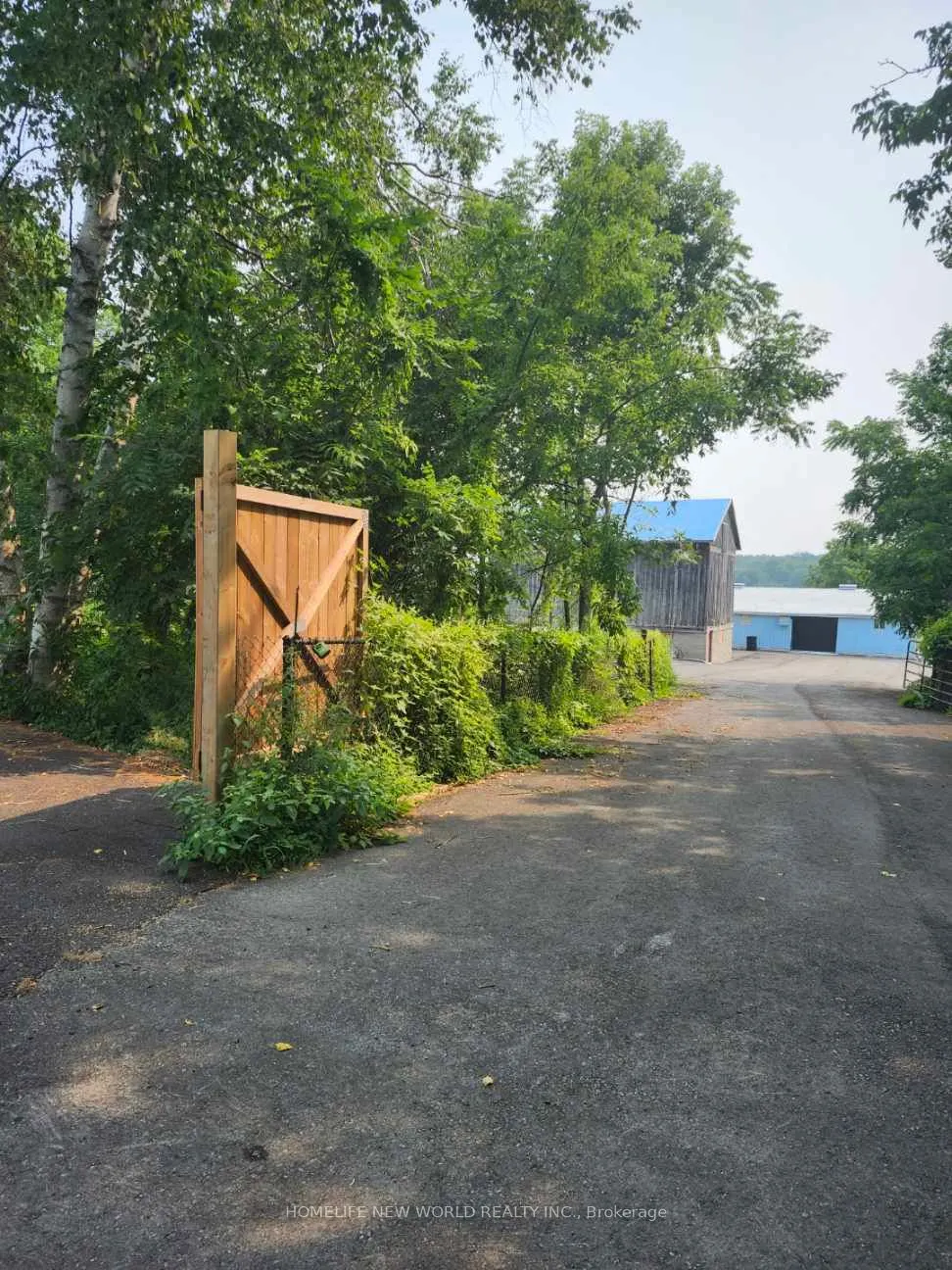19111 Woodbine Avenue, #Basement