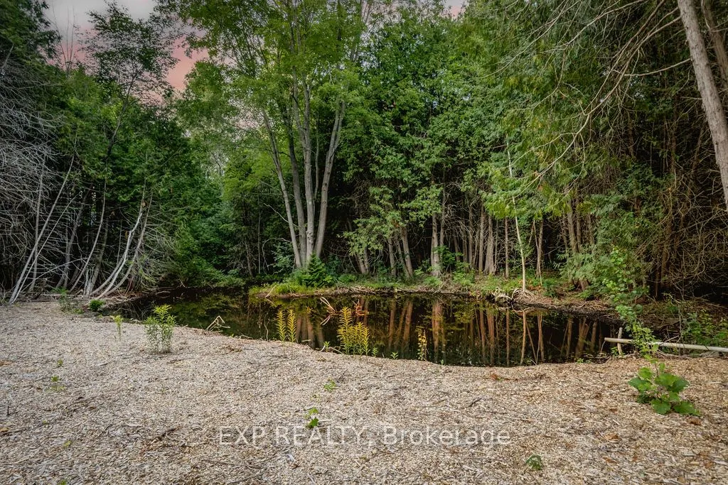 16245 7th Concession Road