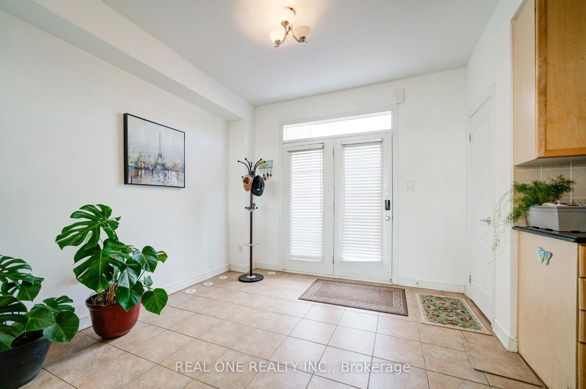 87 Zokol Drive