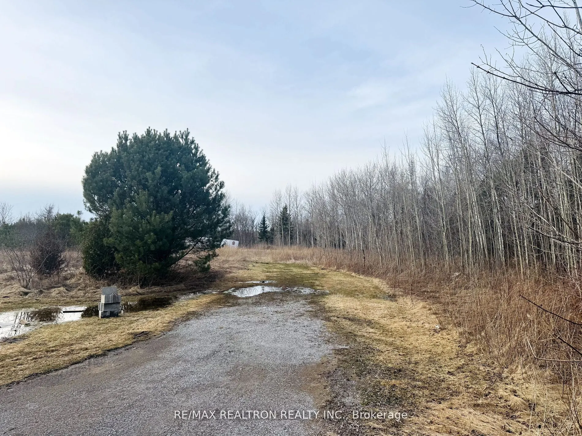 4950 Mt Albert Road