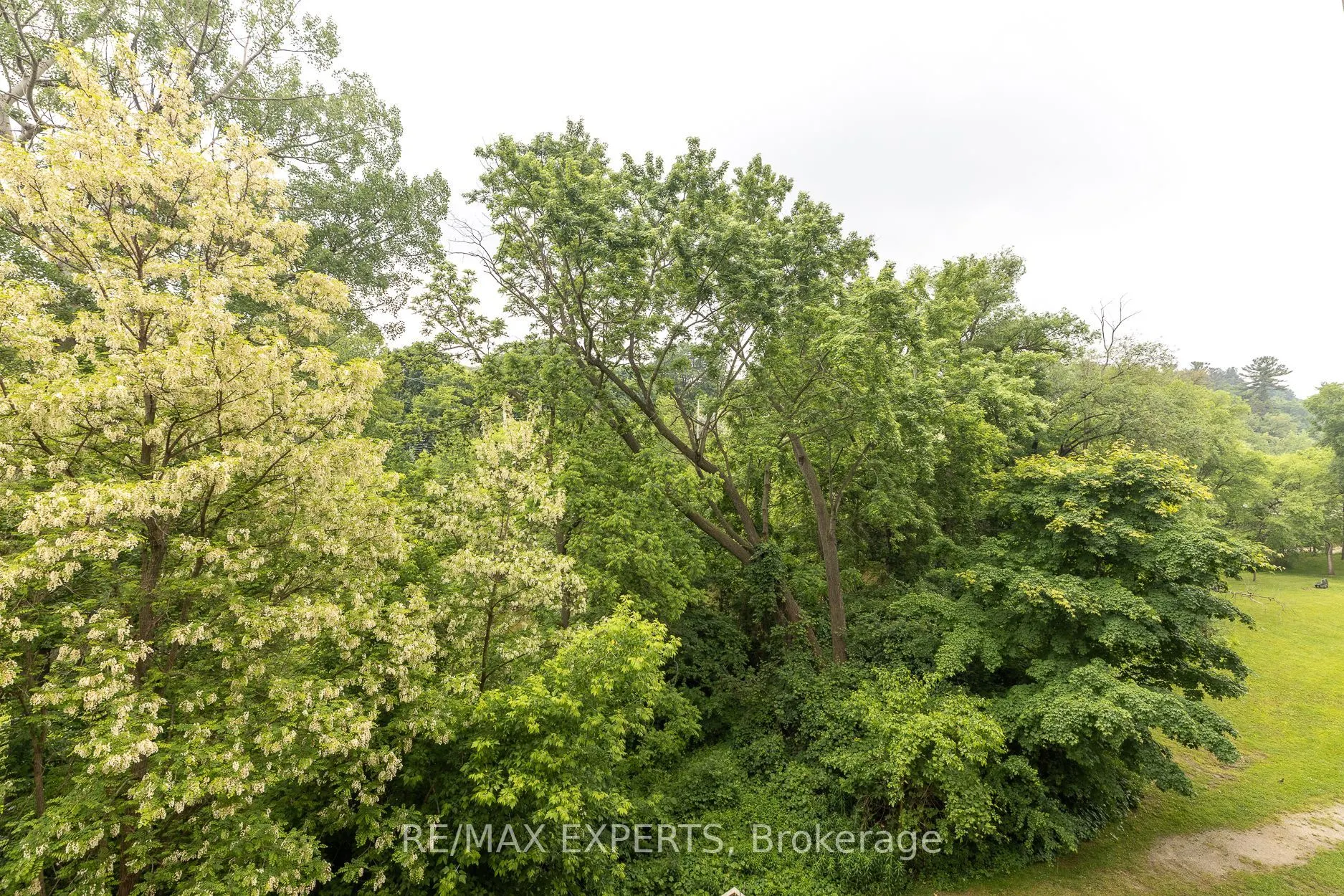 8201 ISLINGTON Avenue, #319