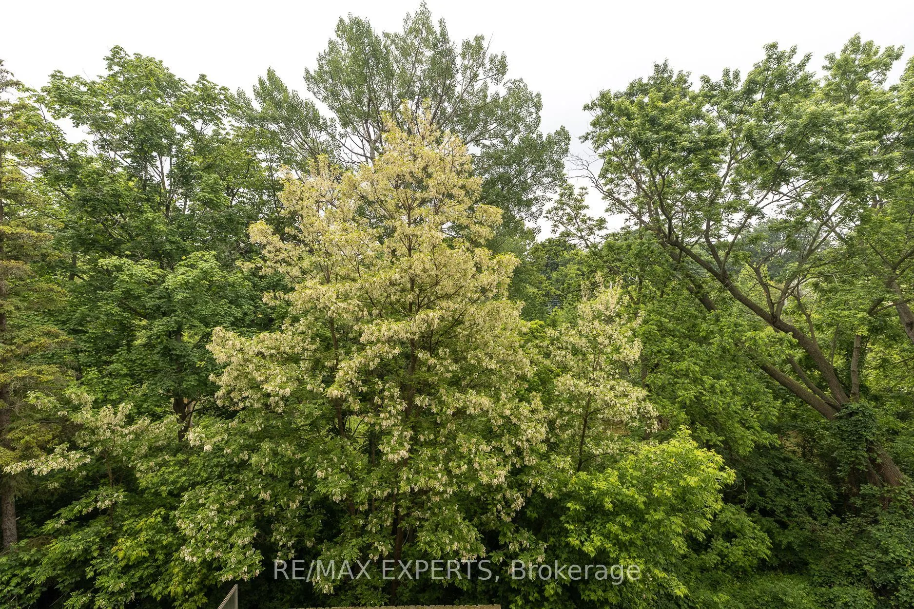 8201 ISLINGTON Avenue, #319