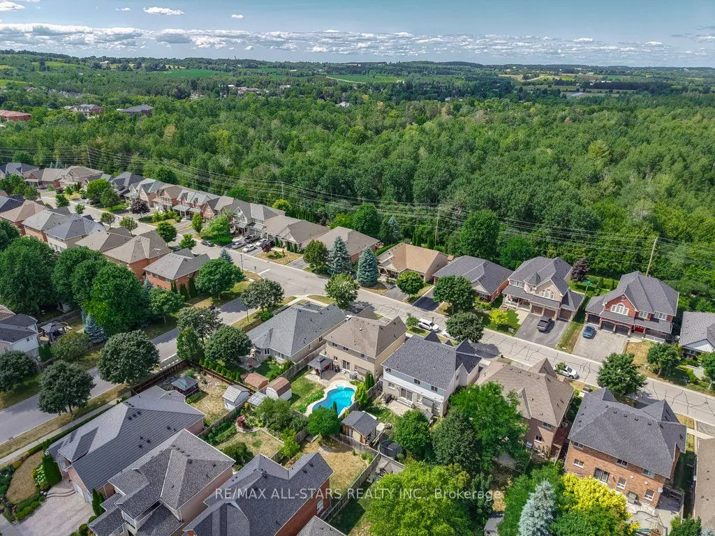 54 Cosmos Avenue