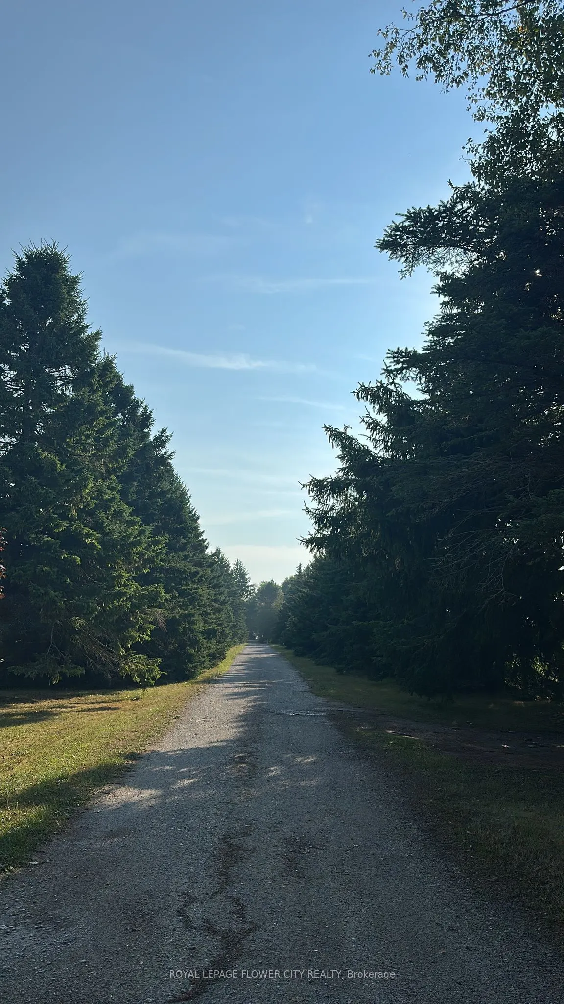 7076 5th side Road N