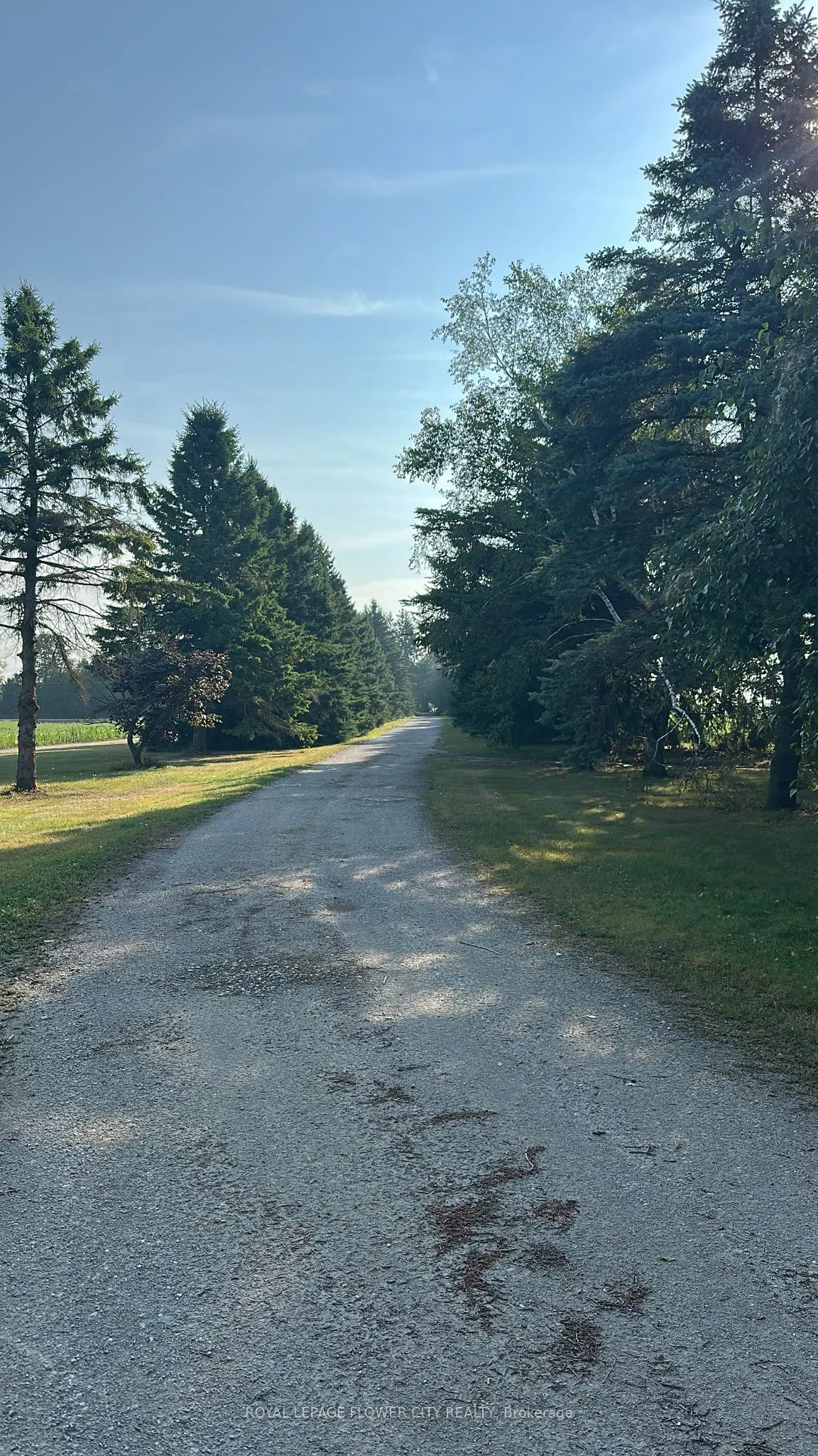 7076 5th side Road N