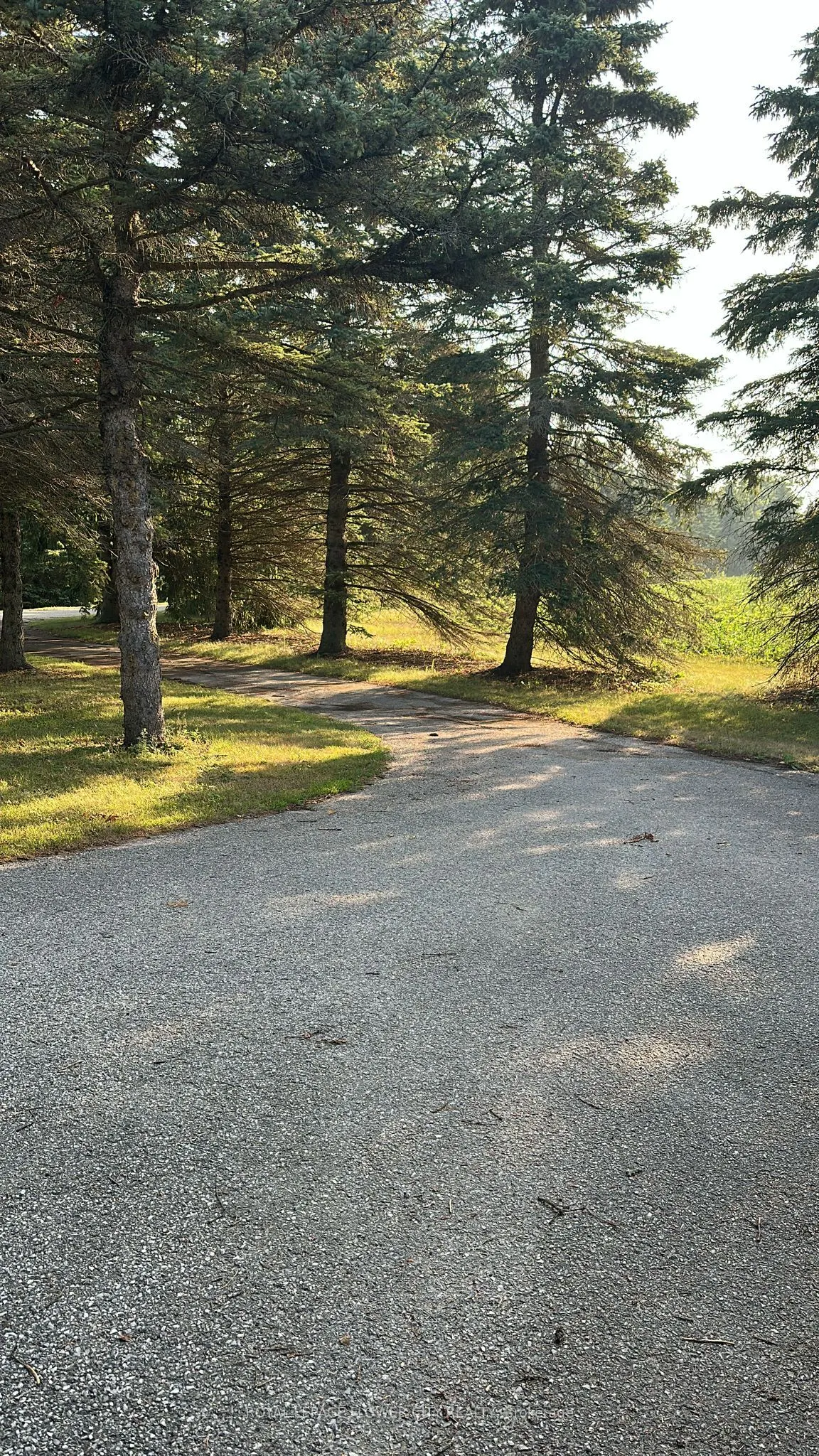 7076 5th side Road N