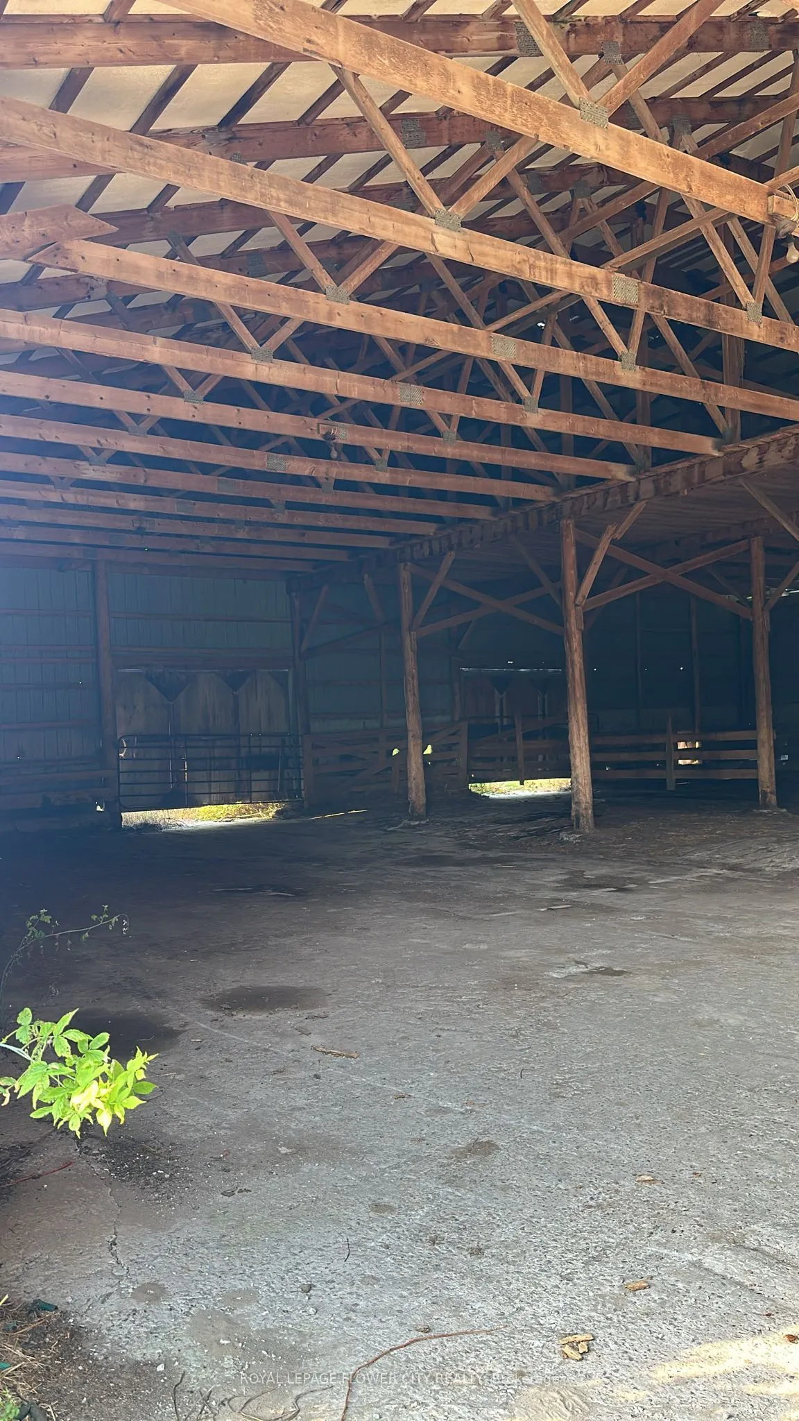 7076 5th Side Road N, #Shed 2