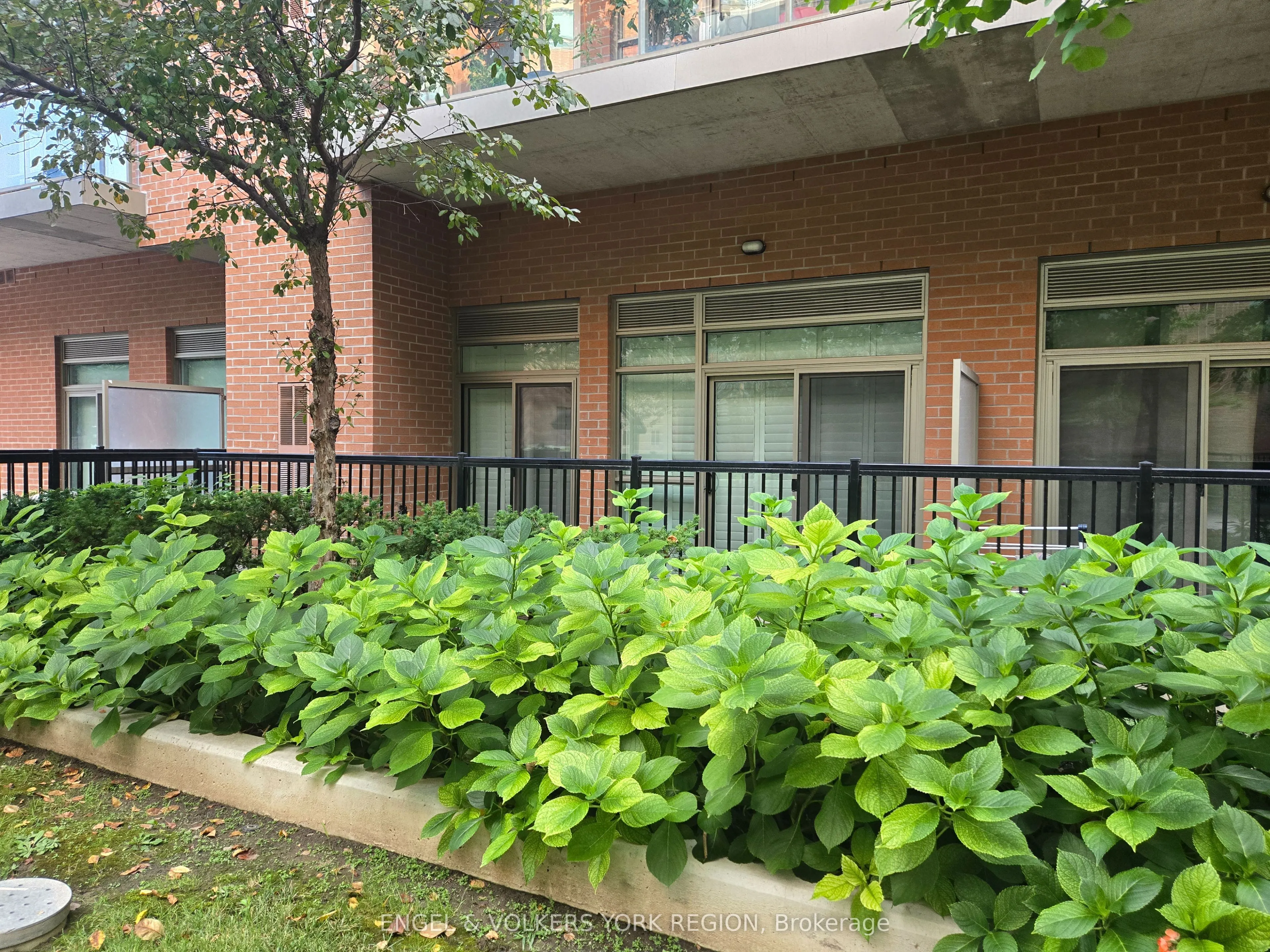 281 Woodbridge Avenue, #106
