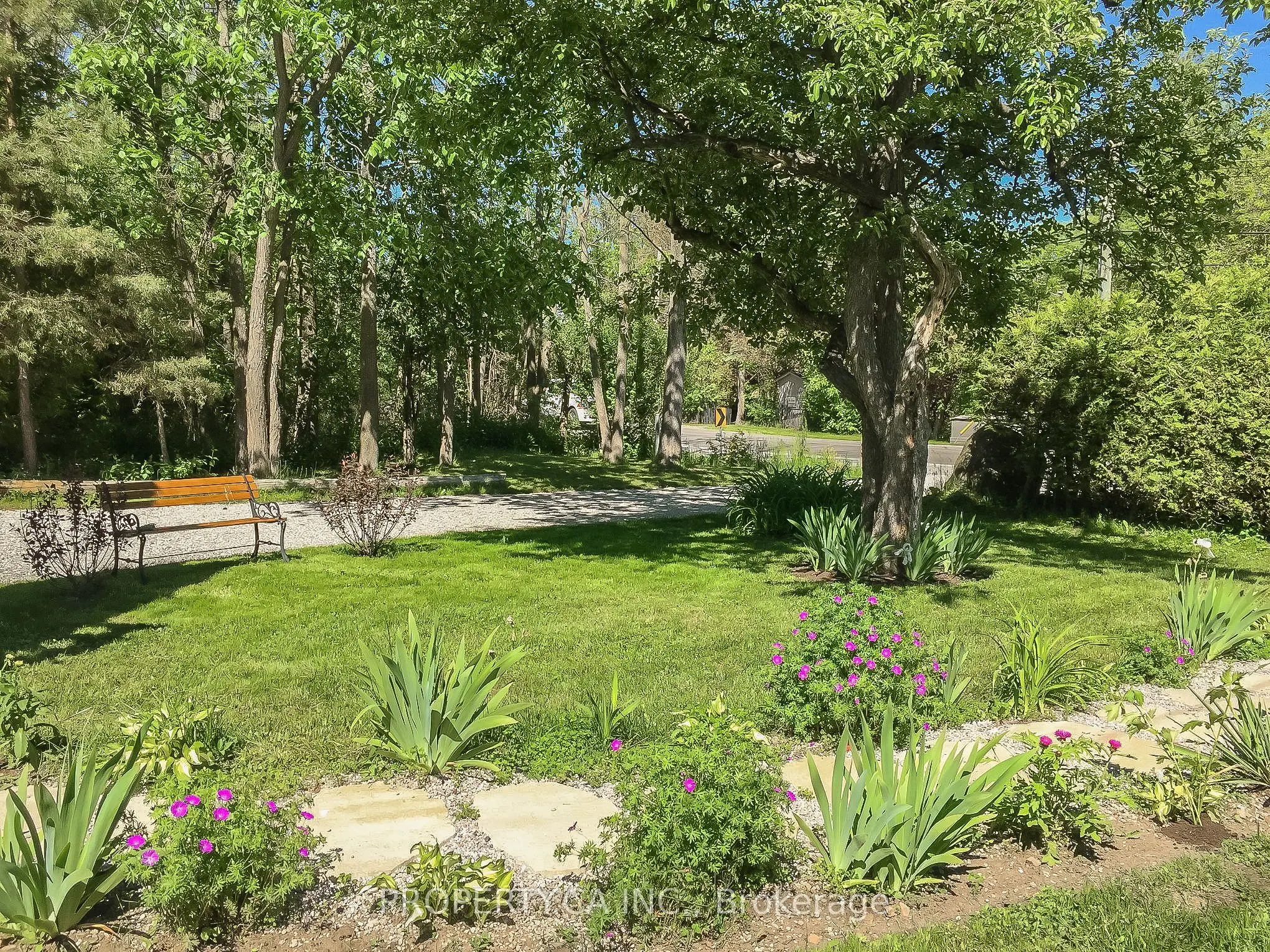 1336 Maple Road