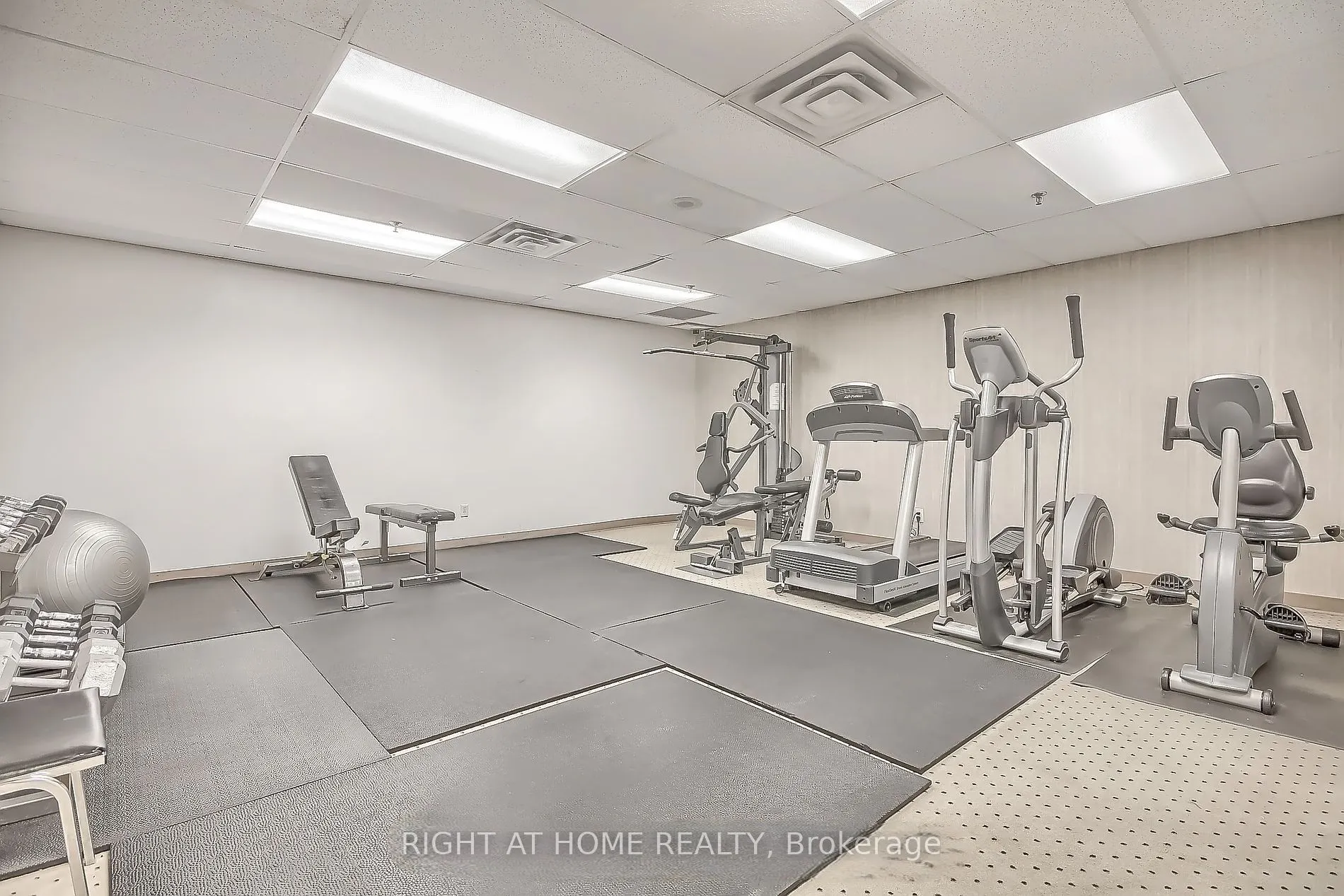 81 Townsgate Drive, #902
