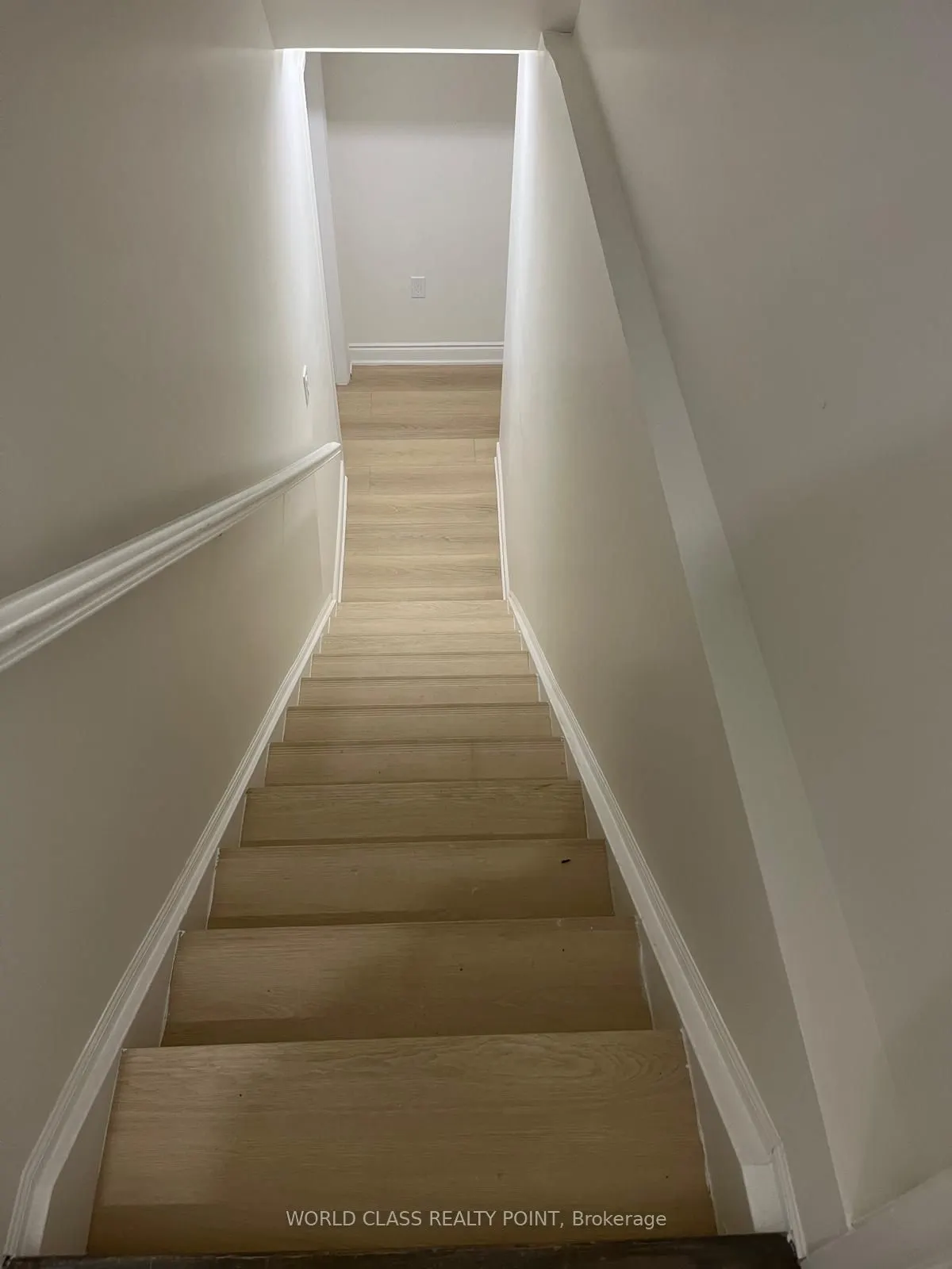 157 Mcmichael Avenue, #Basement