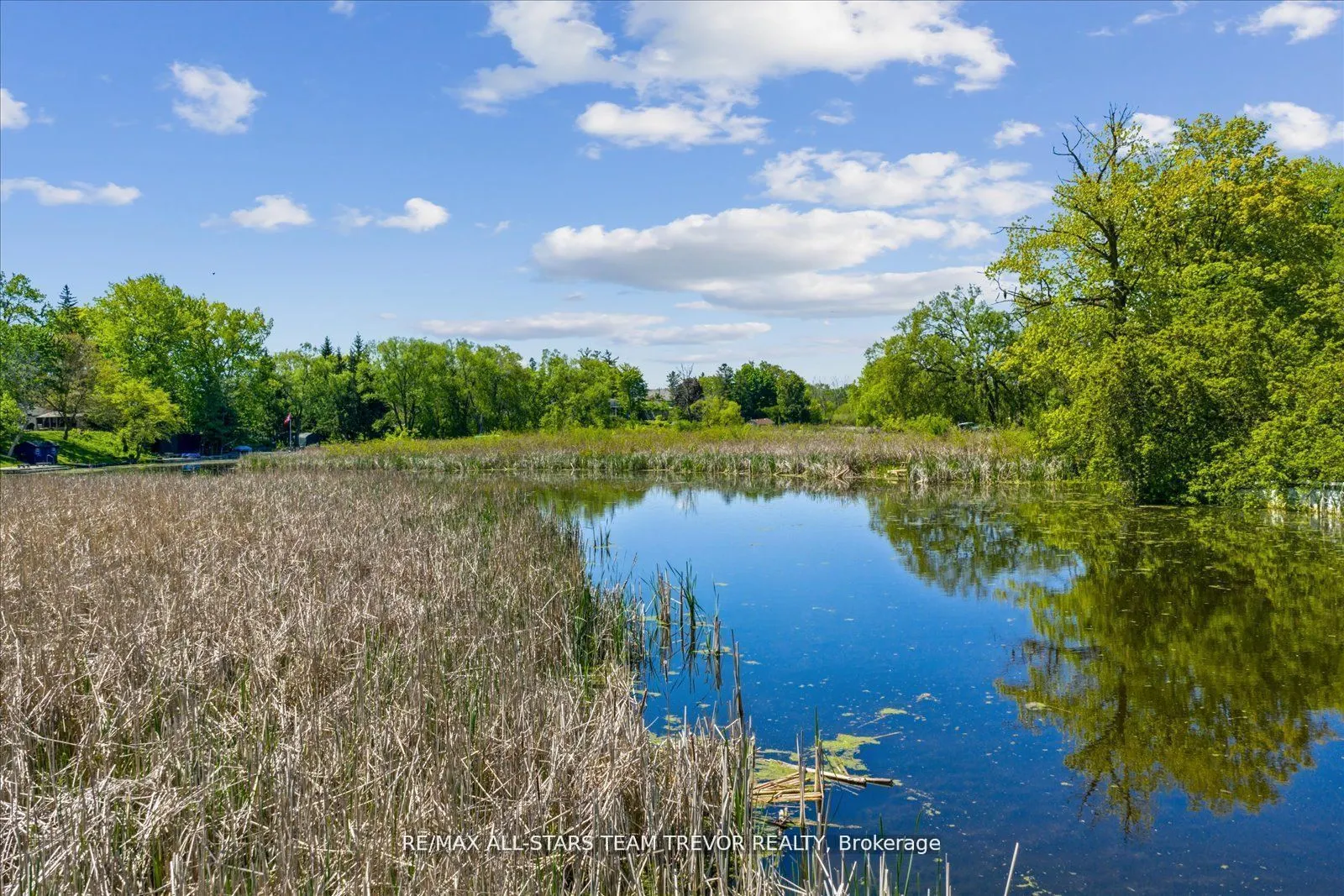 31 Riveredge Drive